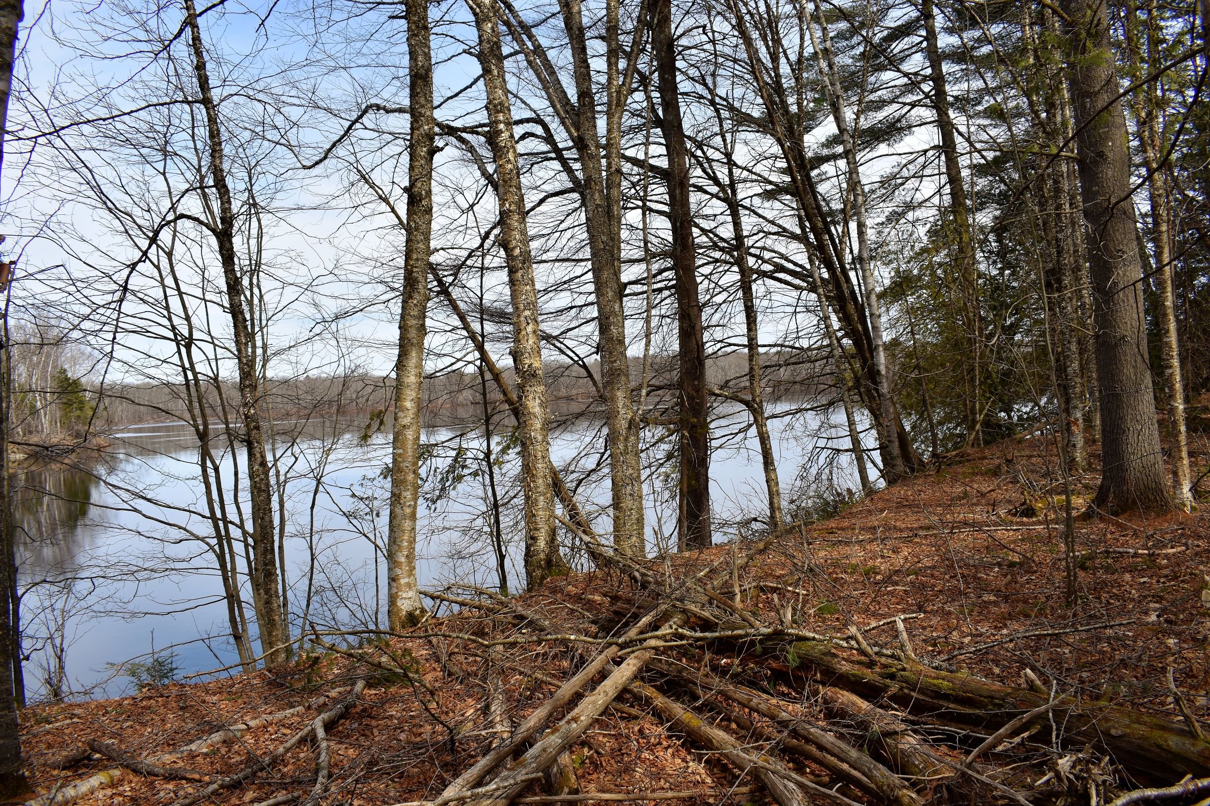 Weston Woods & Waters, Route 43 Trails Clean-up, Madison