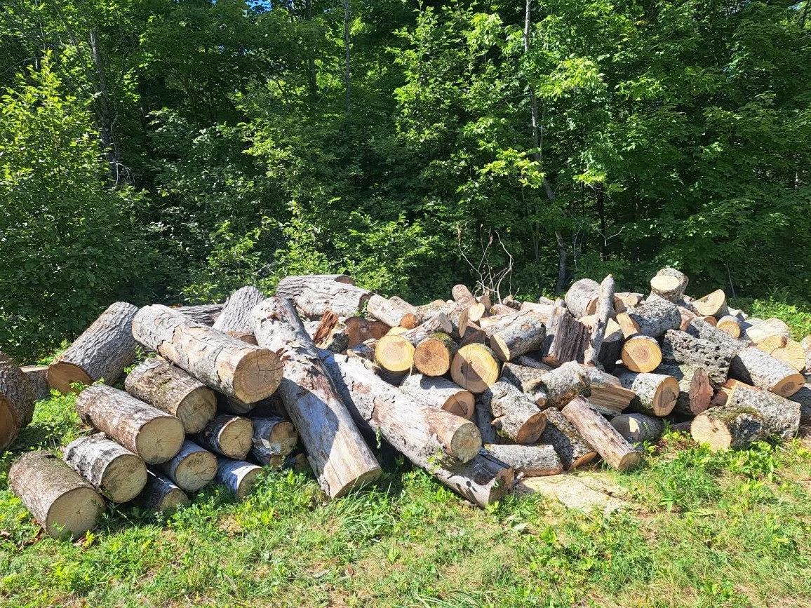 Firewood Processing
