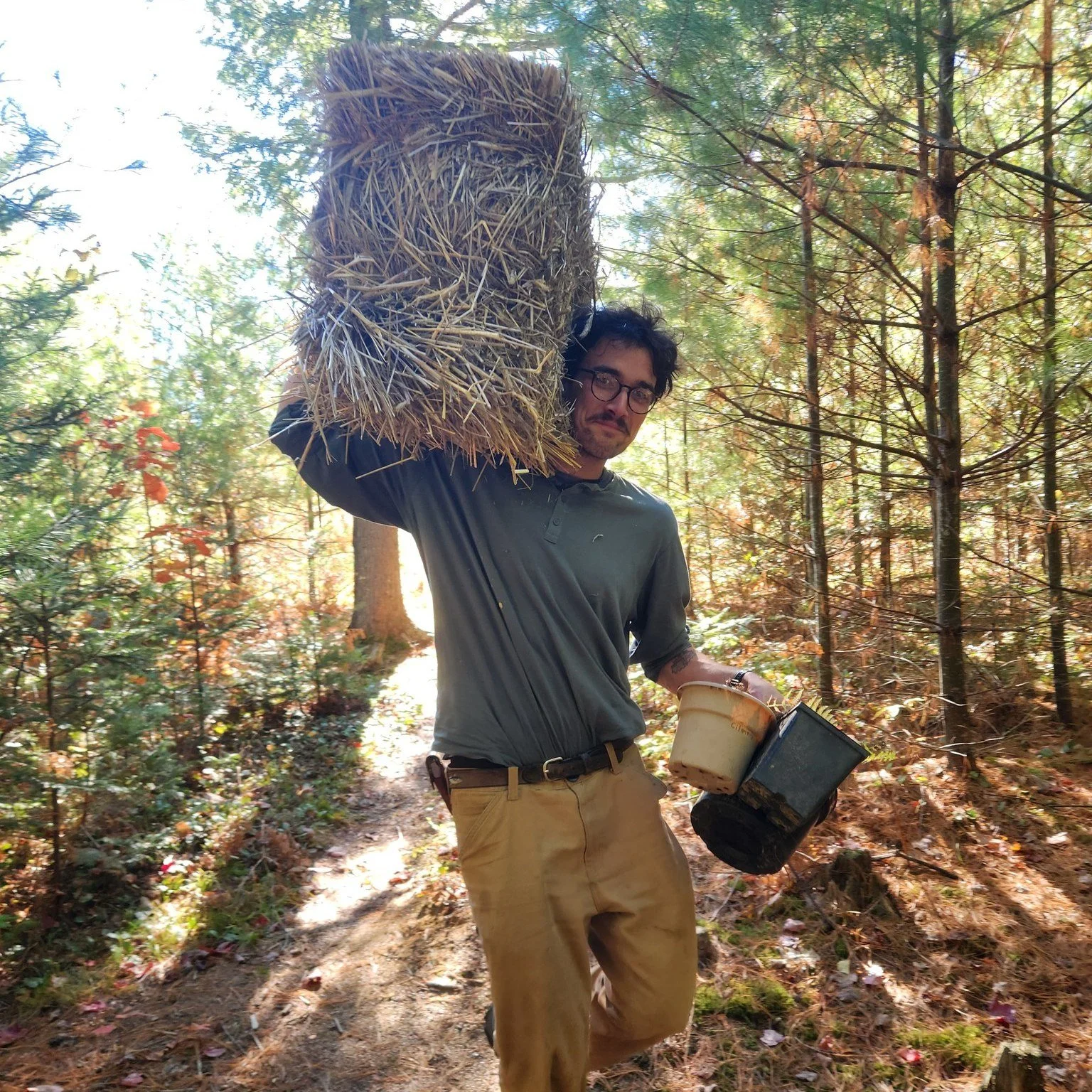 Big thanks to @mainegrainalliance for providing winter rye for our revegetation efforts at Wesserunsett Stream Preserve! Ayden and Ann spread the rye along exposed soil on the blue trail, laid straw, and planted several additional native plants culti