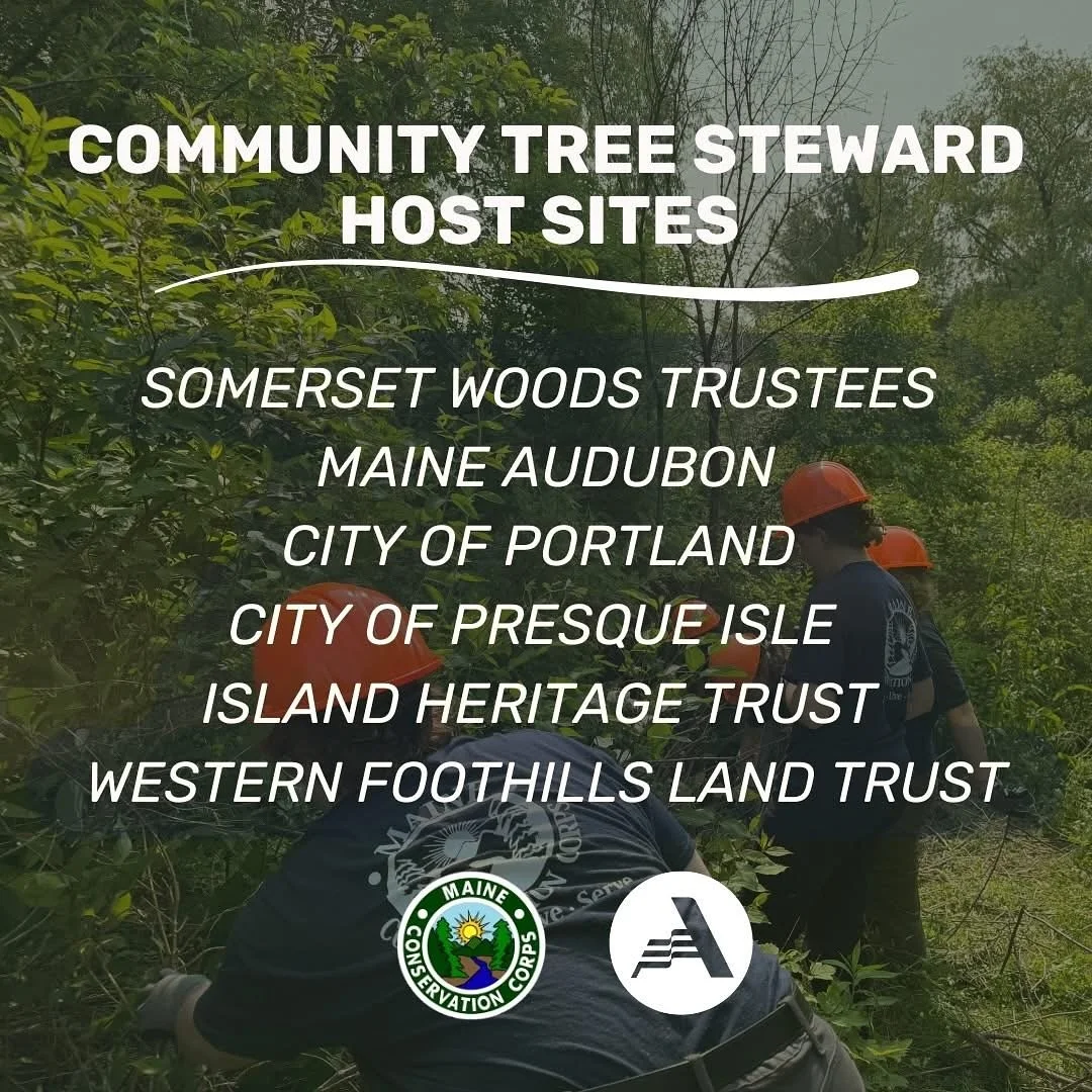 Join our team! Community Tree Steward applications due Monday. Get your app in and help grow our woodbank, care for our woodlands, and encourage a love for trees in Somerset County!
π¨FINAL CALL for 1700hr Environmental and Community Tree Stewards ?