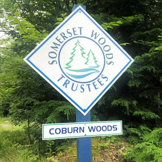 Coburn Woods Fall Cleanup