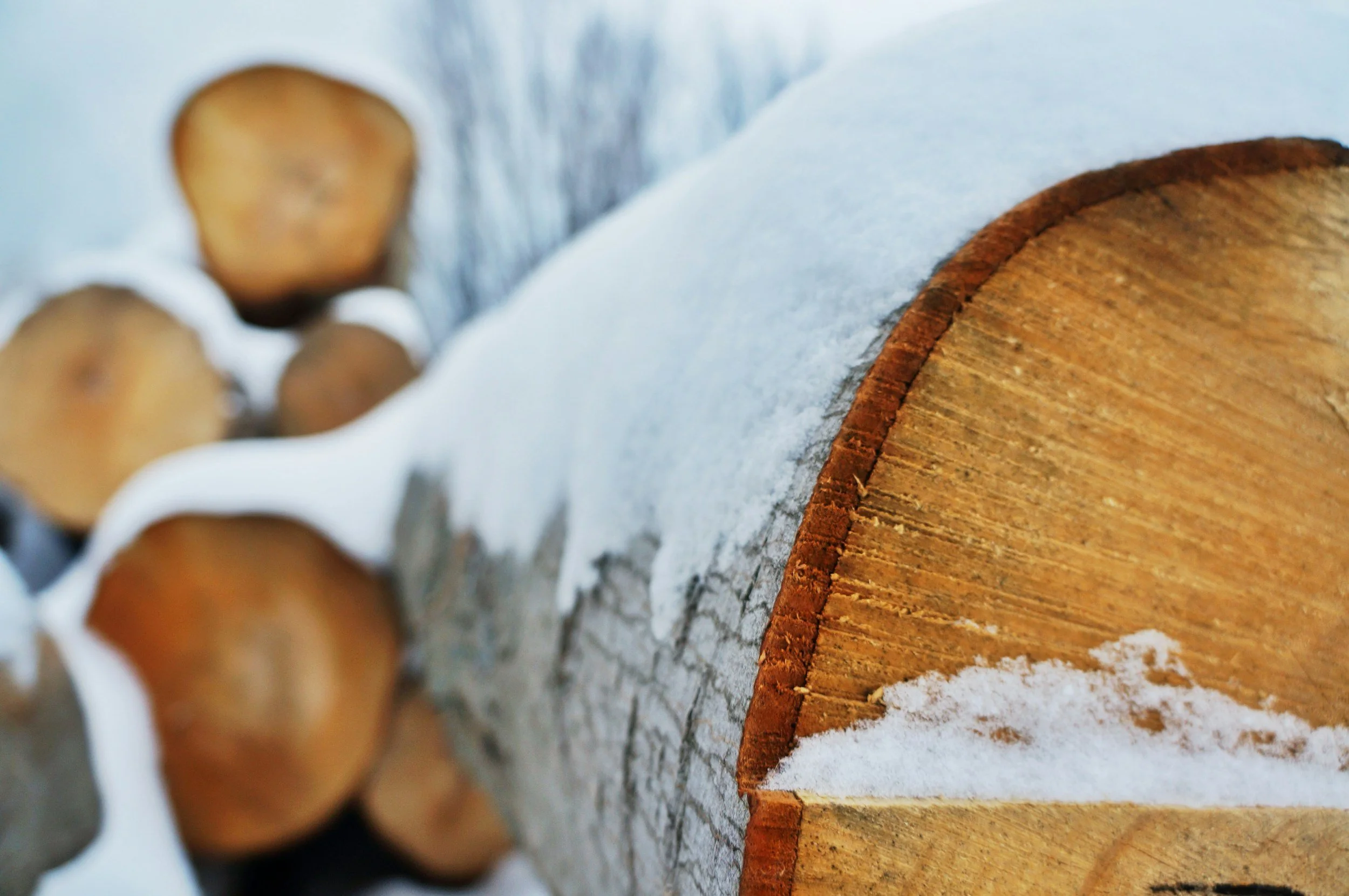 Coburn Woods Harvest Tour