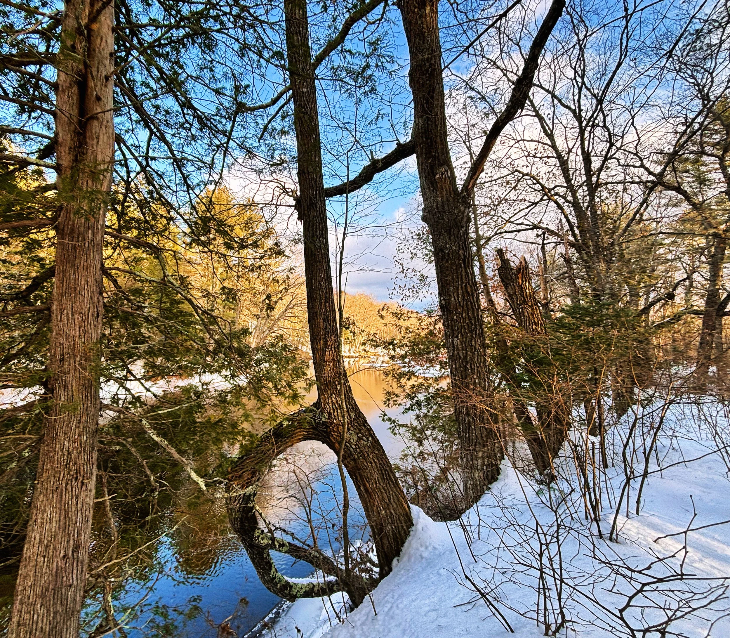 Meet & Greet at Gilman Stream with Wire Bridge Sno Travelers