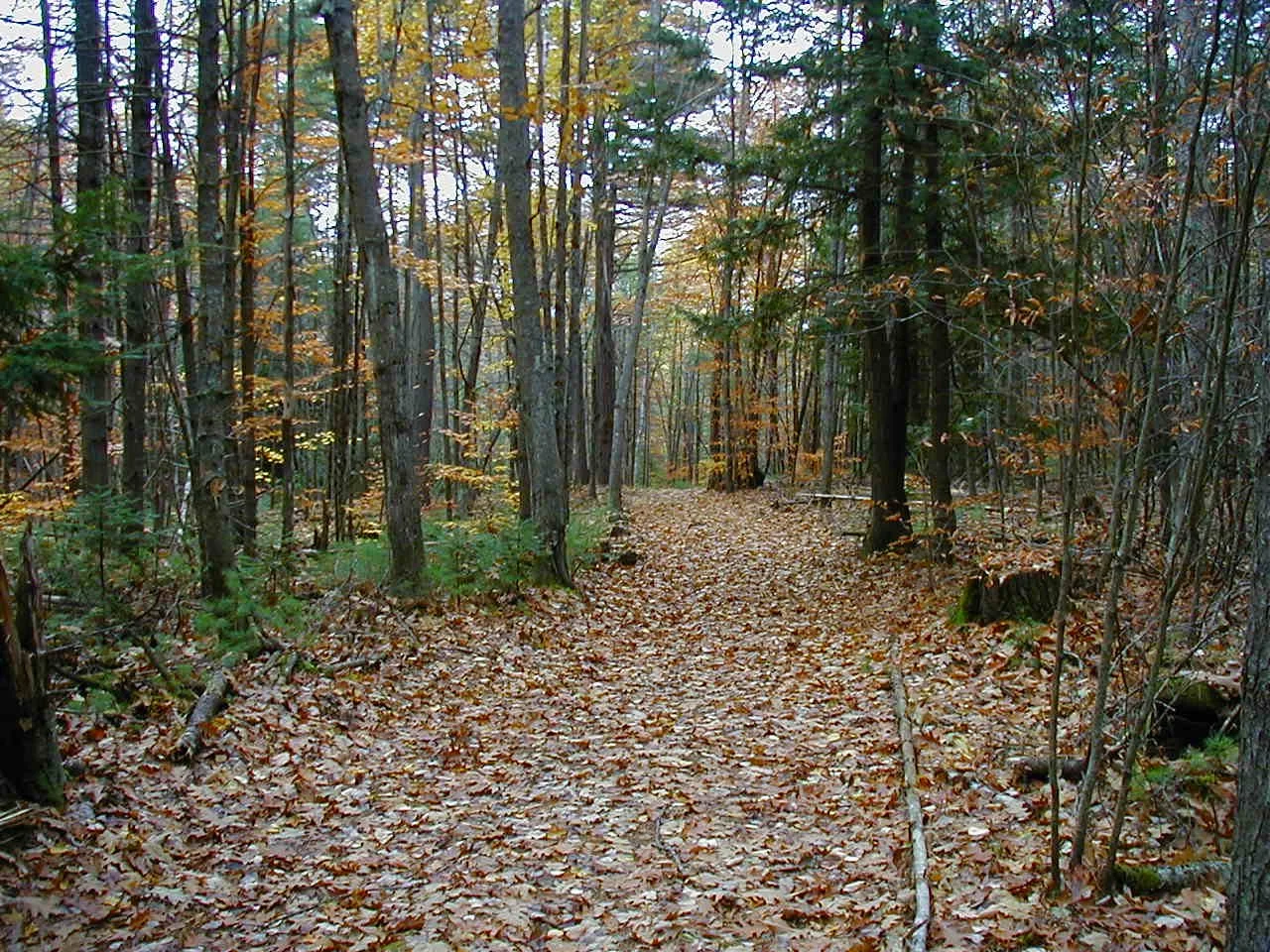 Coburn Woods, Spring Clean-Up for Earth Week!