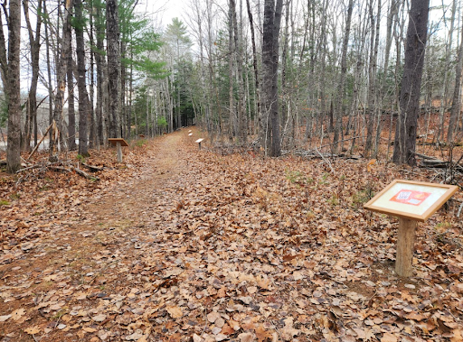 Whitten Woods, Trails Clean-up