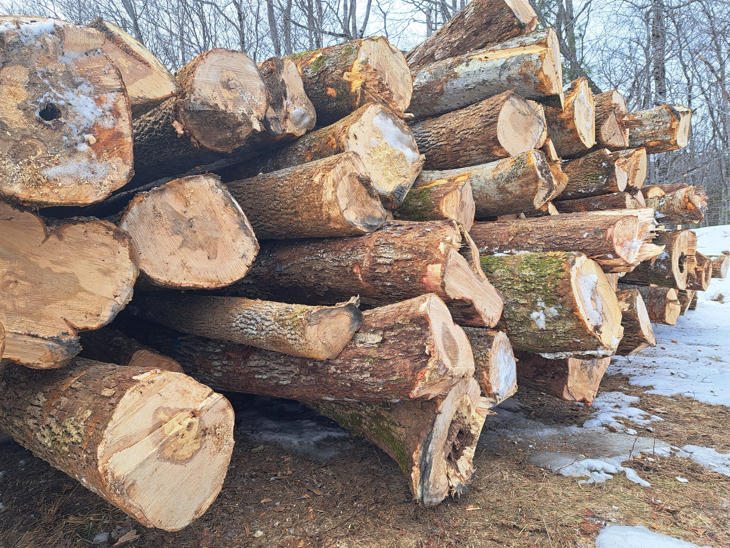 Earth Week Somerset Woods Share Site Tour