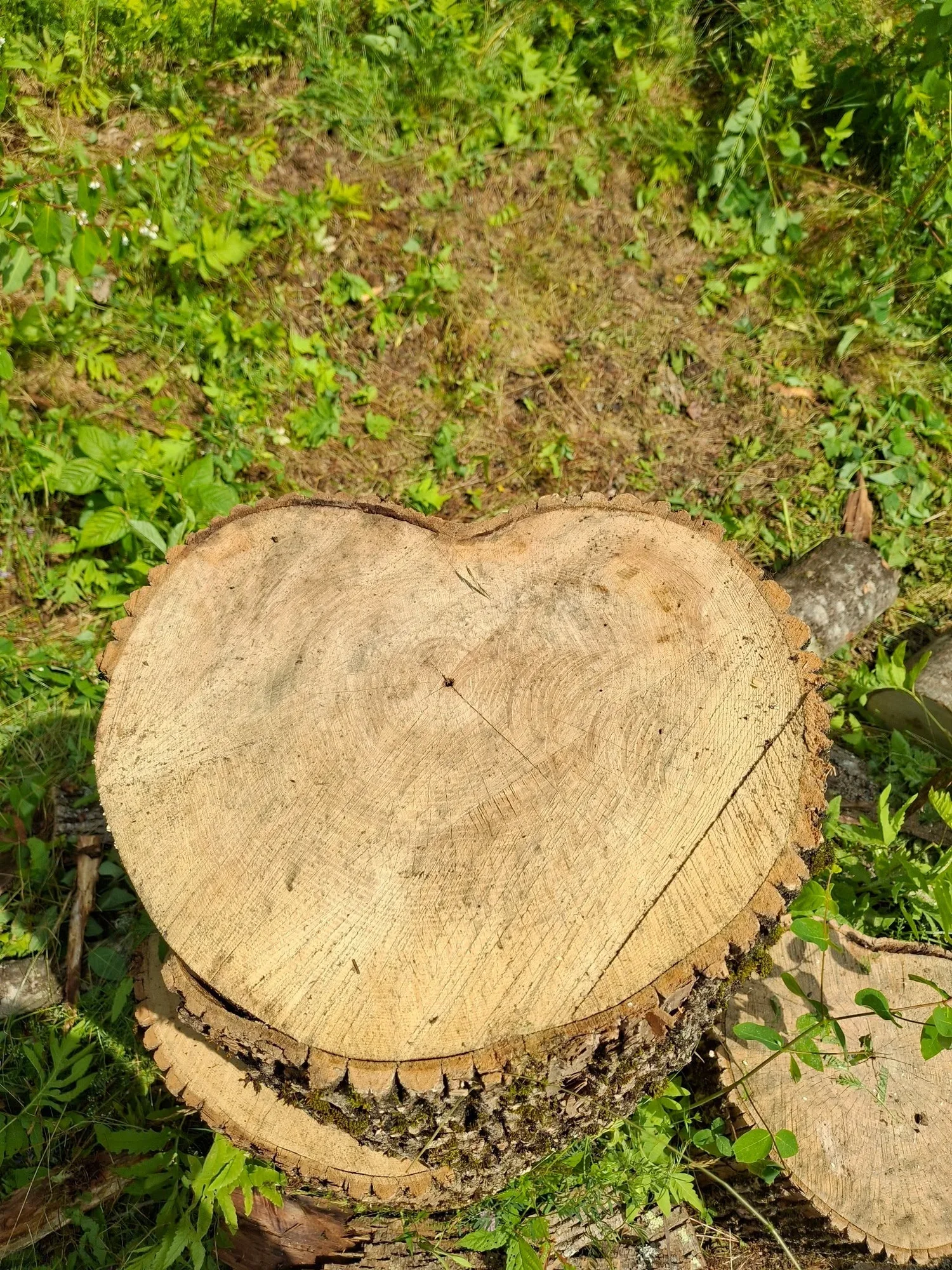 Somerset Woods Share Spring Clean Up