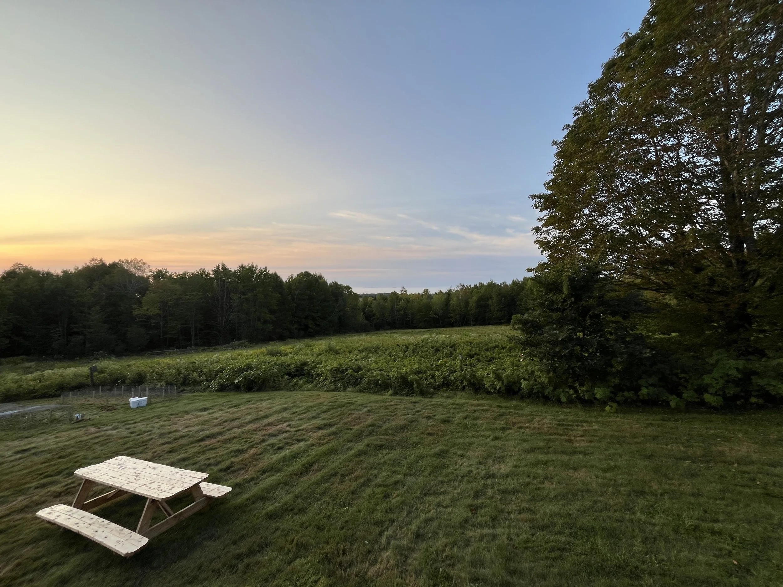 The Root &amp; River Yoga Seva Retreat