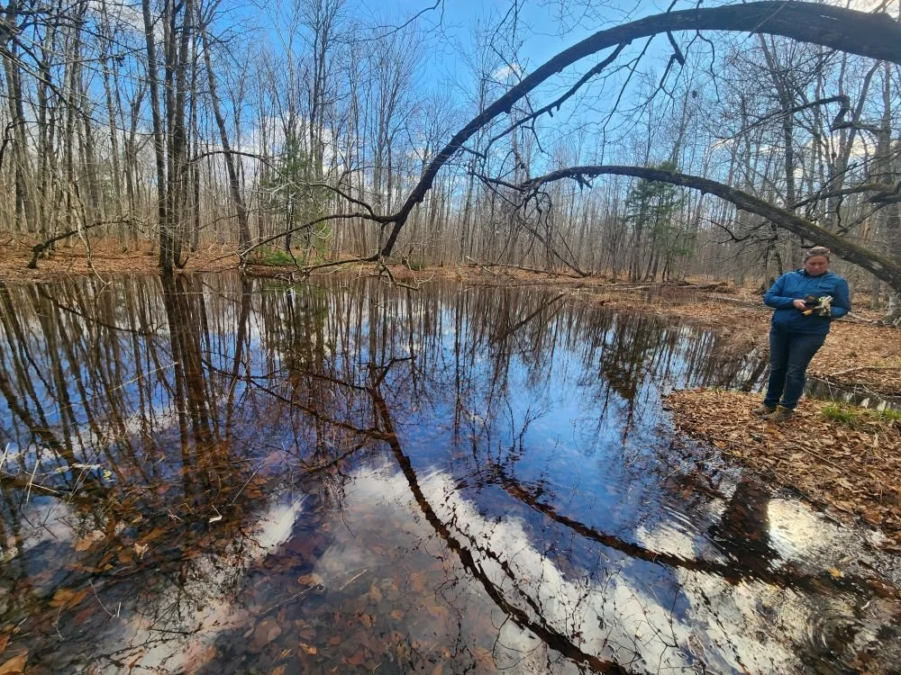 Vernal Pool Visit
