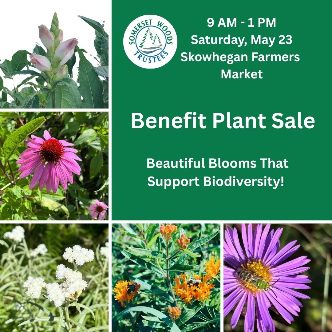Benefit Plant Sale