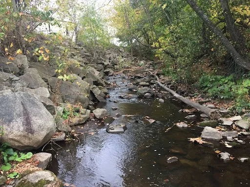 Currier Brook Presentation