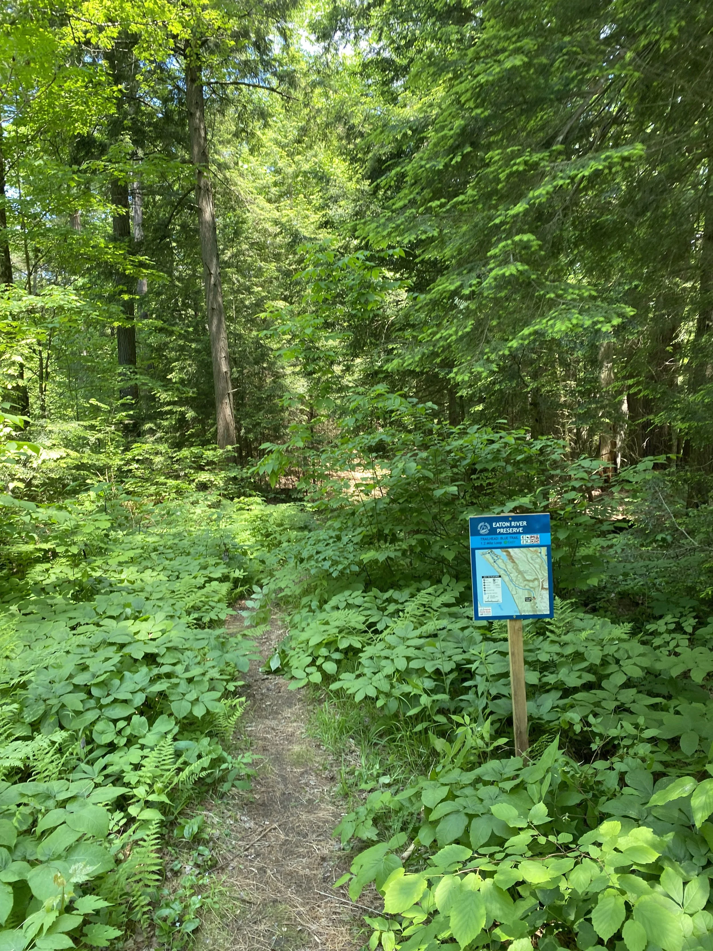 Stew Crew! Trail Maintenance: Defining the Tread at Eaton River Preserve