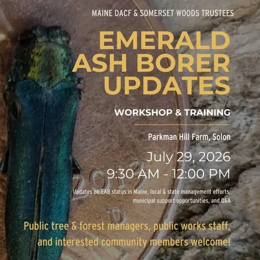 Emerald Ash Borer Updates