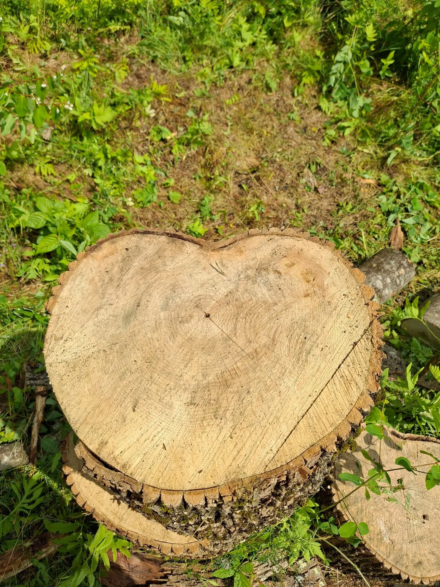 Firewood Processing