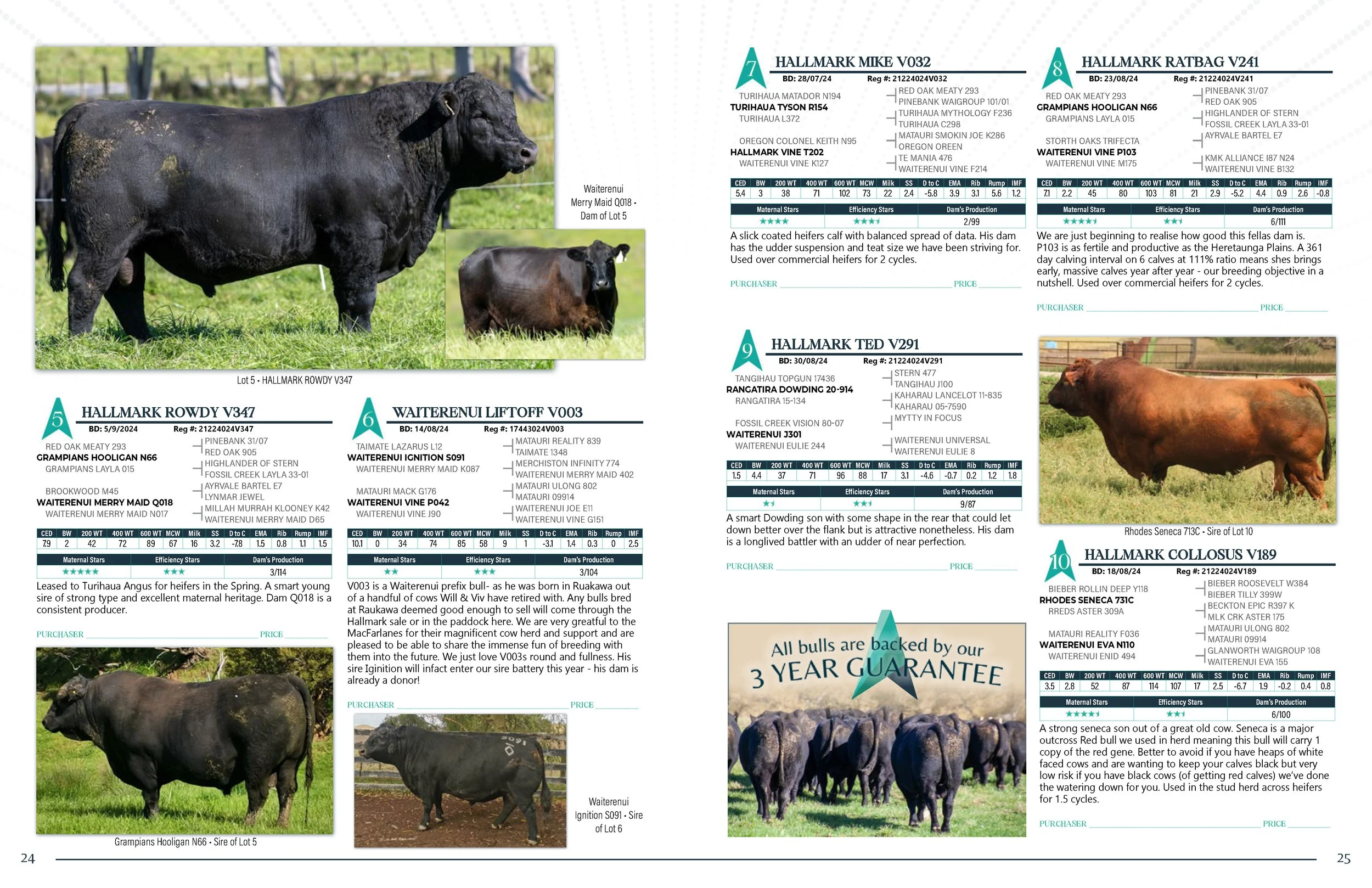 Hallmark Angus 2 YrOldSale 2026 spreads_Page_13.jpg