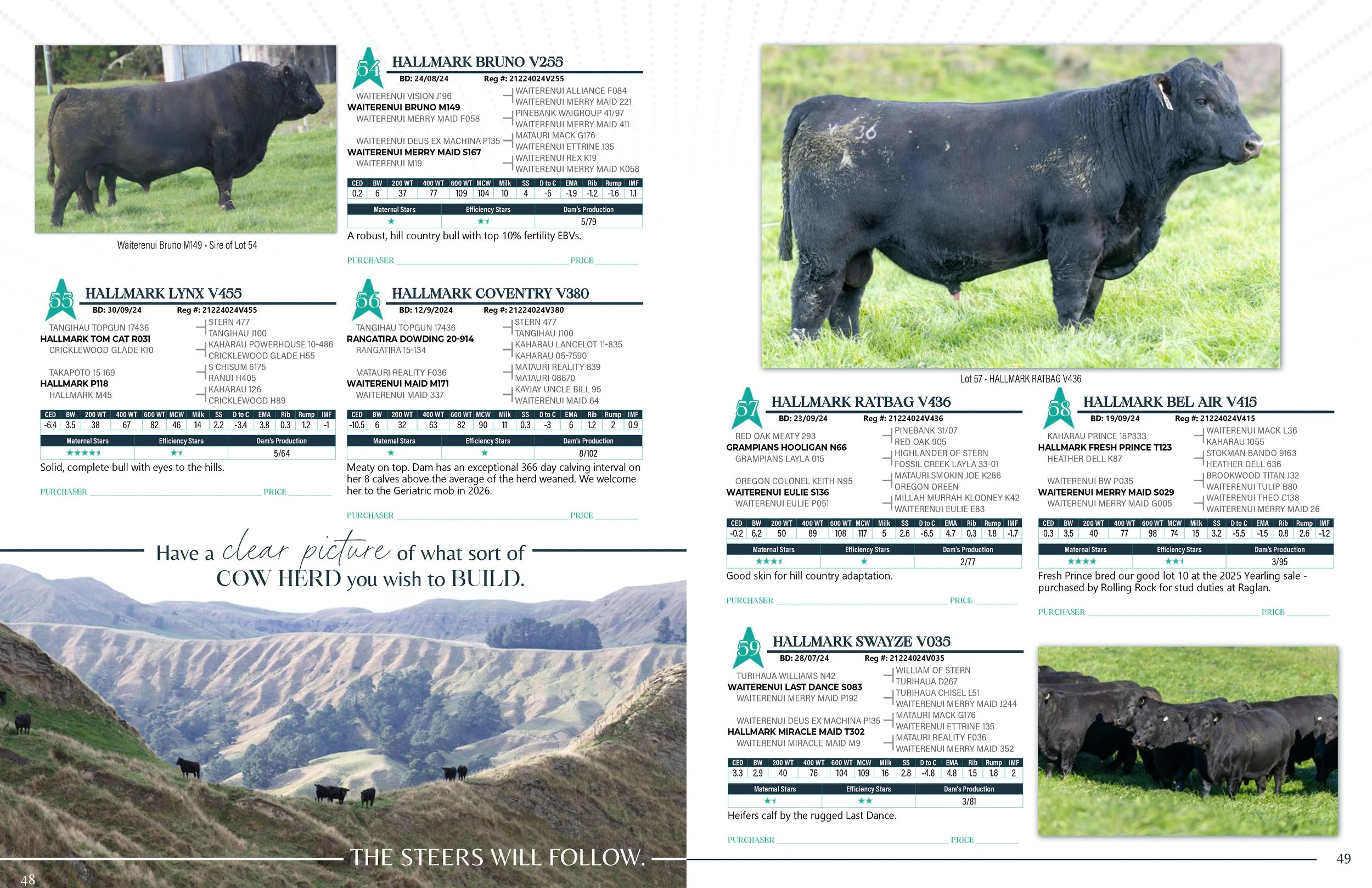 Hallmark Angus 2 YrOldSale 2026 spreads_Page_25.jpg
