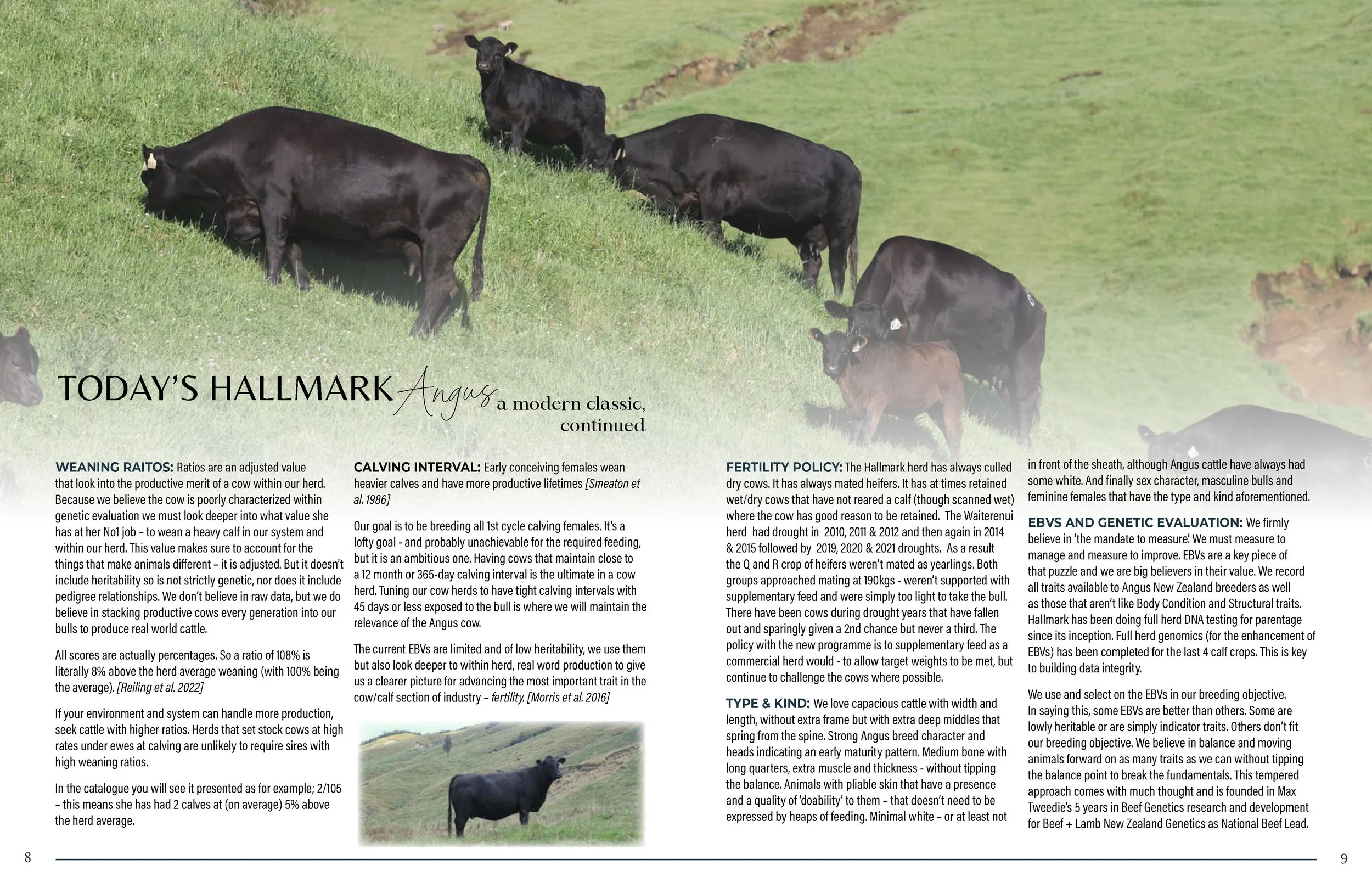 Hallmark Angus 2 YrOldSale 2026 spreads_Page_05.jpg