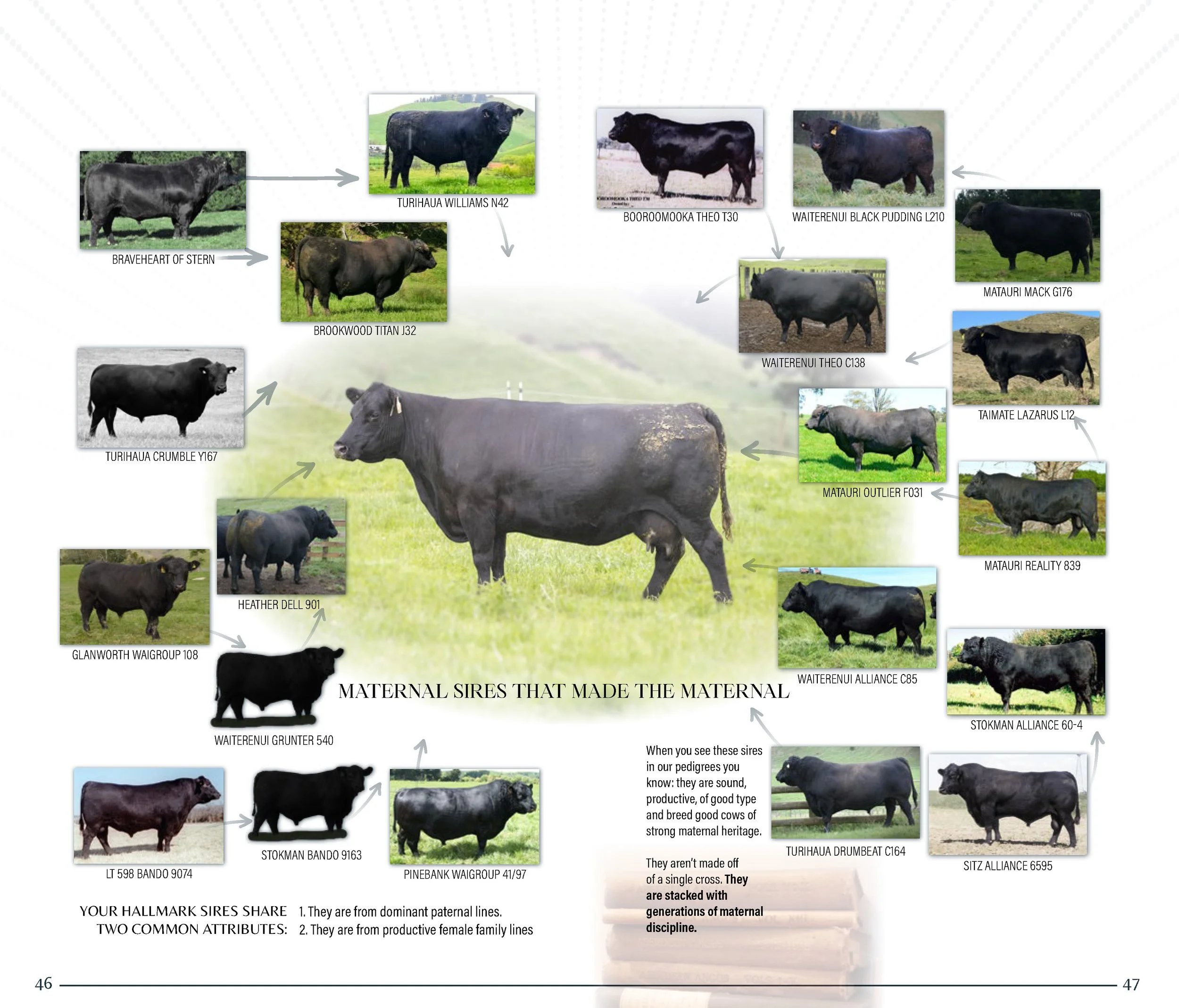 HallmarkYearlingSaleCatalogSpreads2026_Page_24.jpg