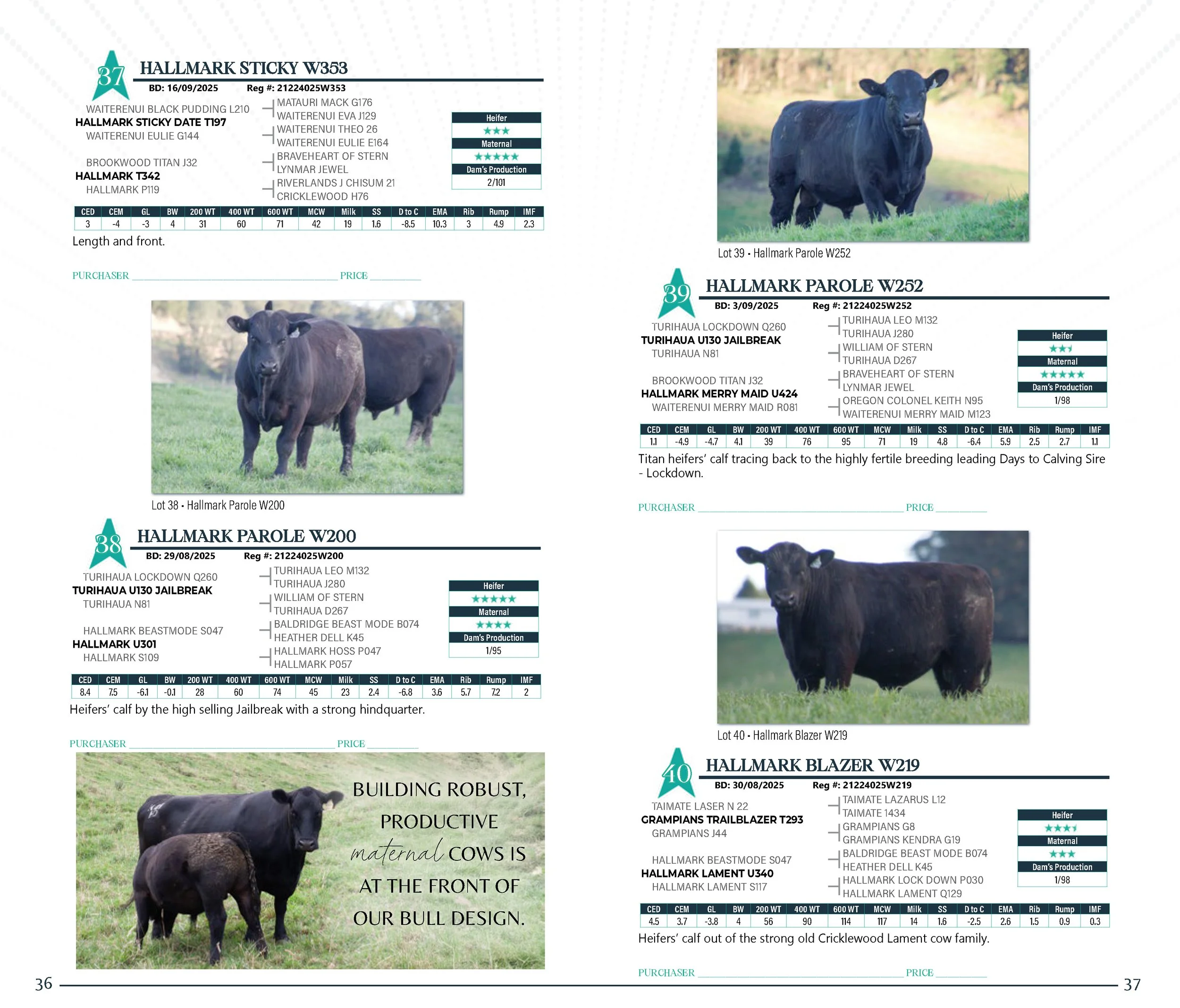 HallmarkYearlingSaleCatalogSpreads2026_Page_19.jpg
