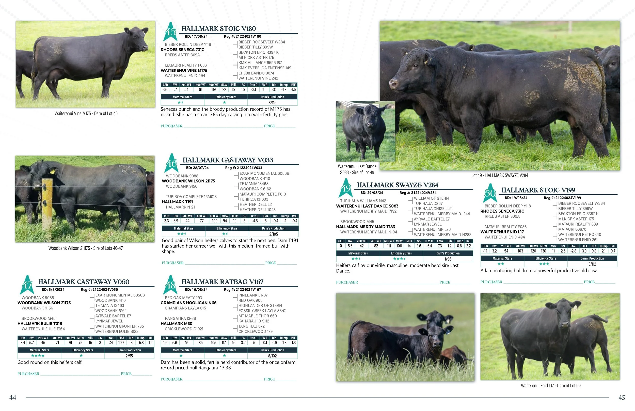 Hallmark Angus 2 YrOldSale 2026 spreads_Page_23.jpg