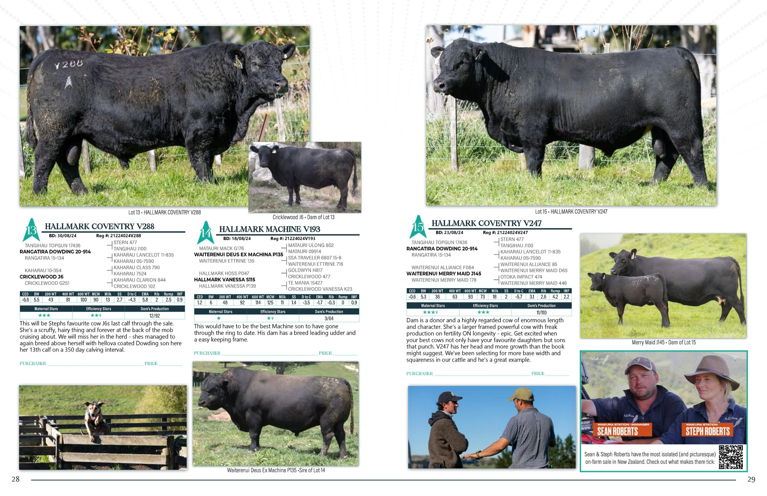 Hallmark Angus 2 YrOldSale 2026 spreads_Page_15.jpg