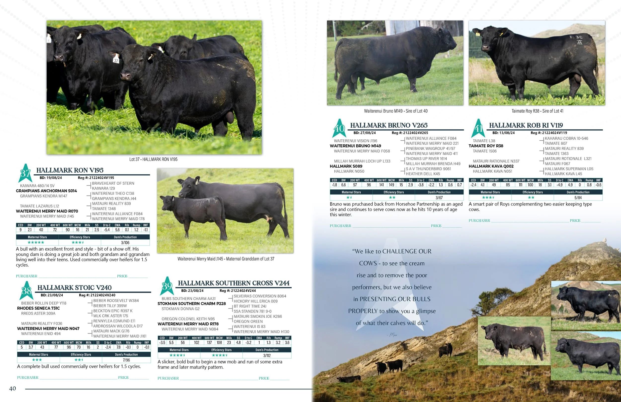 Hallmark Angus 2 YrOldSale 2026 spreads_Page_21.jpg