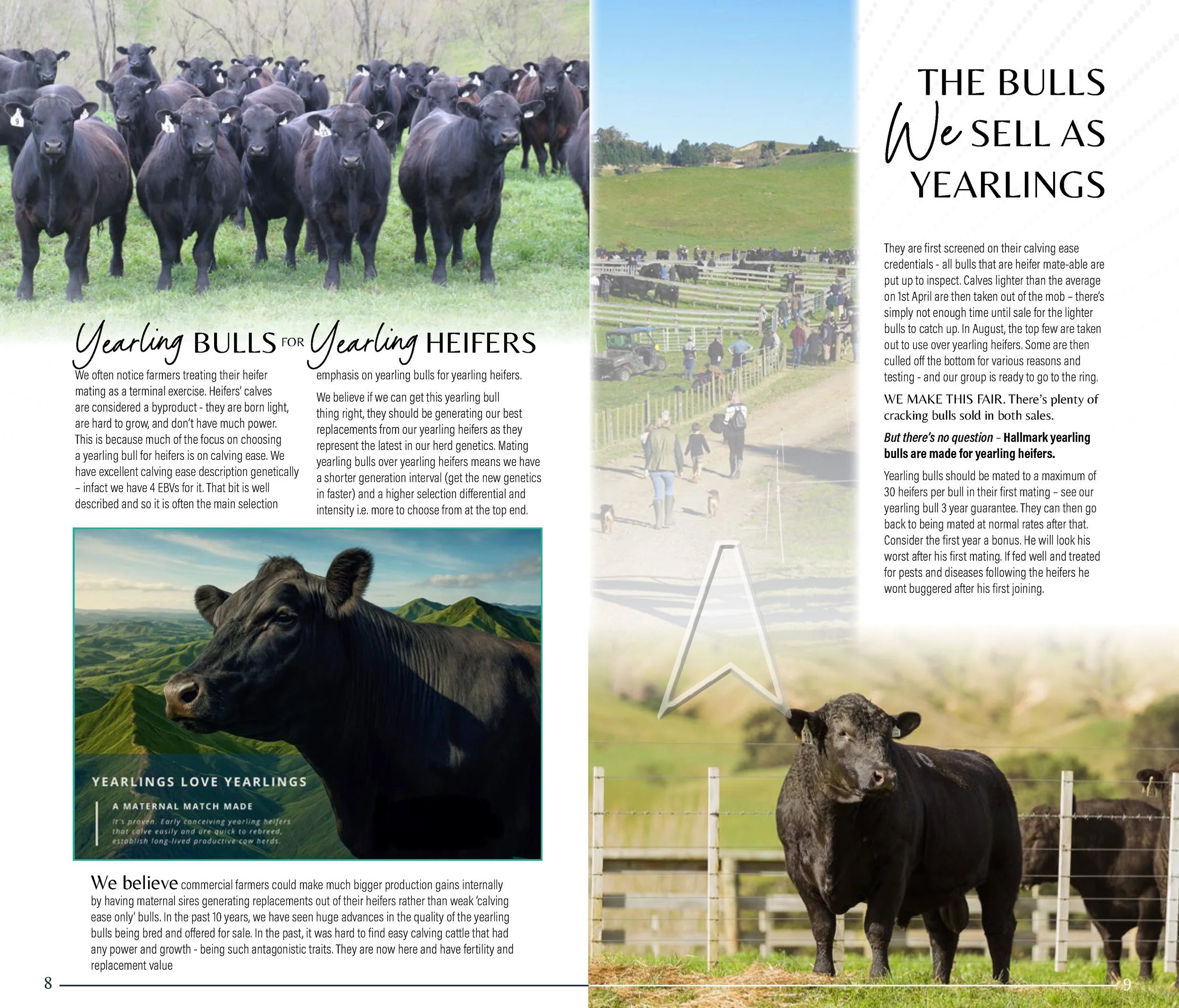 HallmarkYearlingSaleCatalogSpreads2026_Page_05.jpg