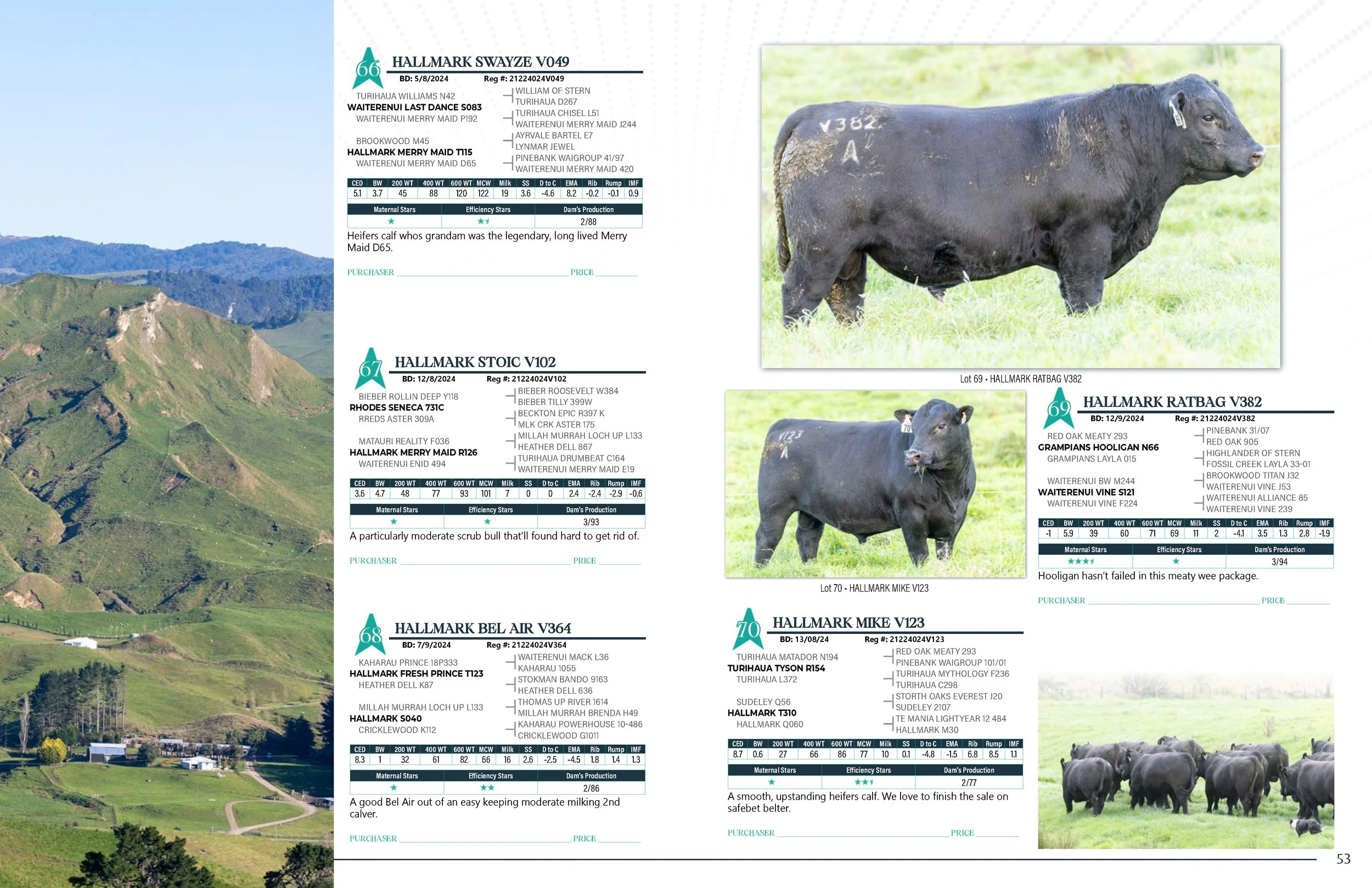 Hallmark Angus 2 YrOldSale 2026 spreads_Page_27.jpg