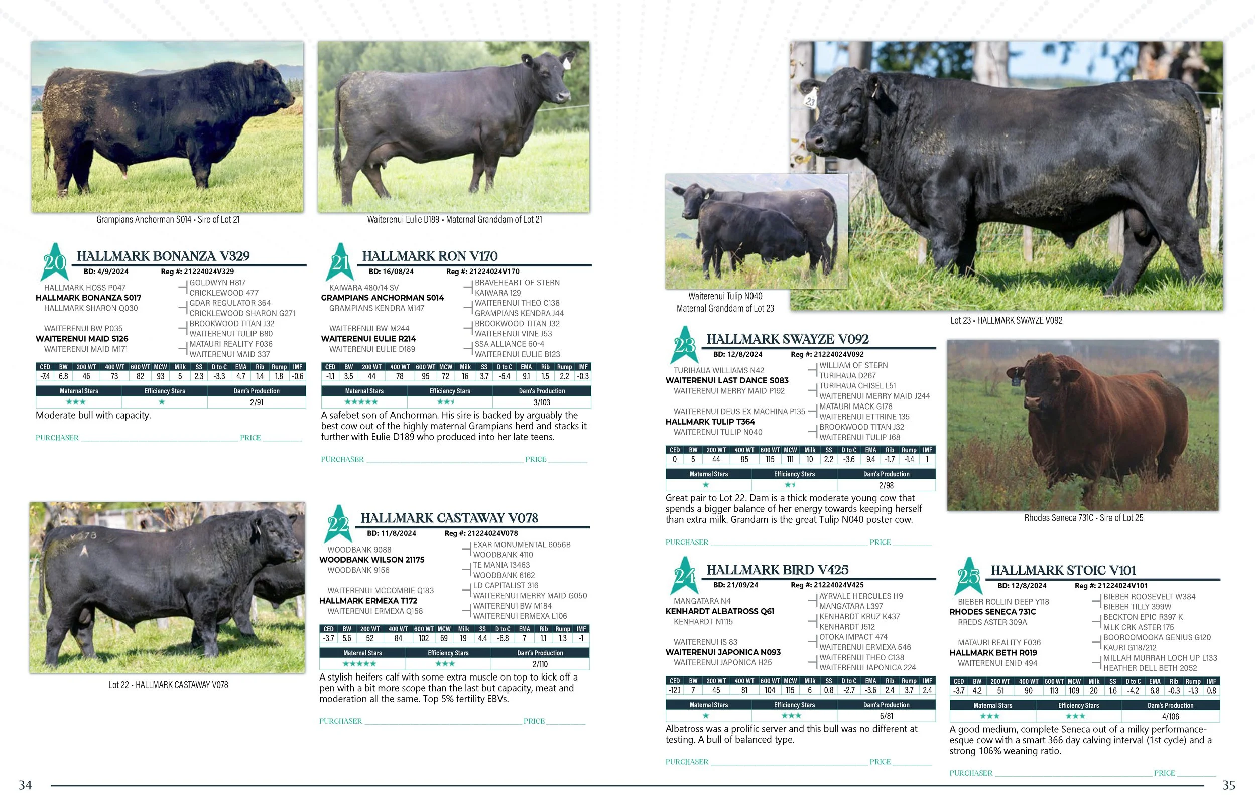 Hallmark Angus 2 YrOldSale 2026 spreads_Page_18.jpg