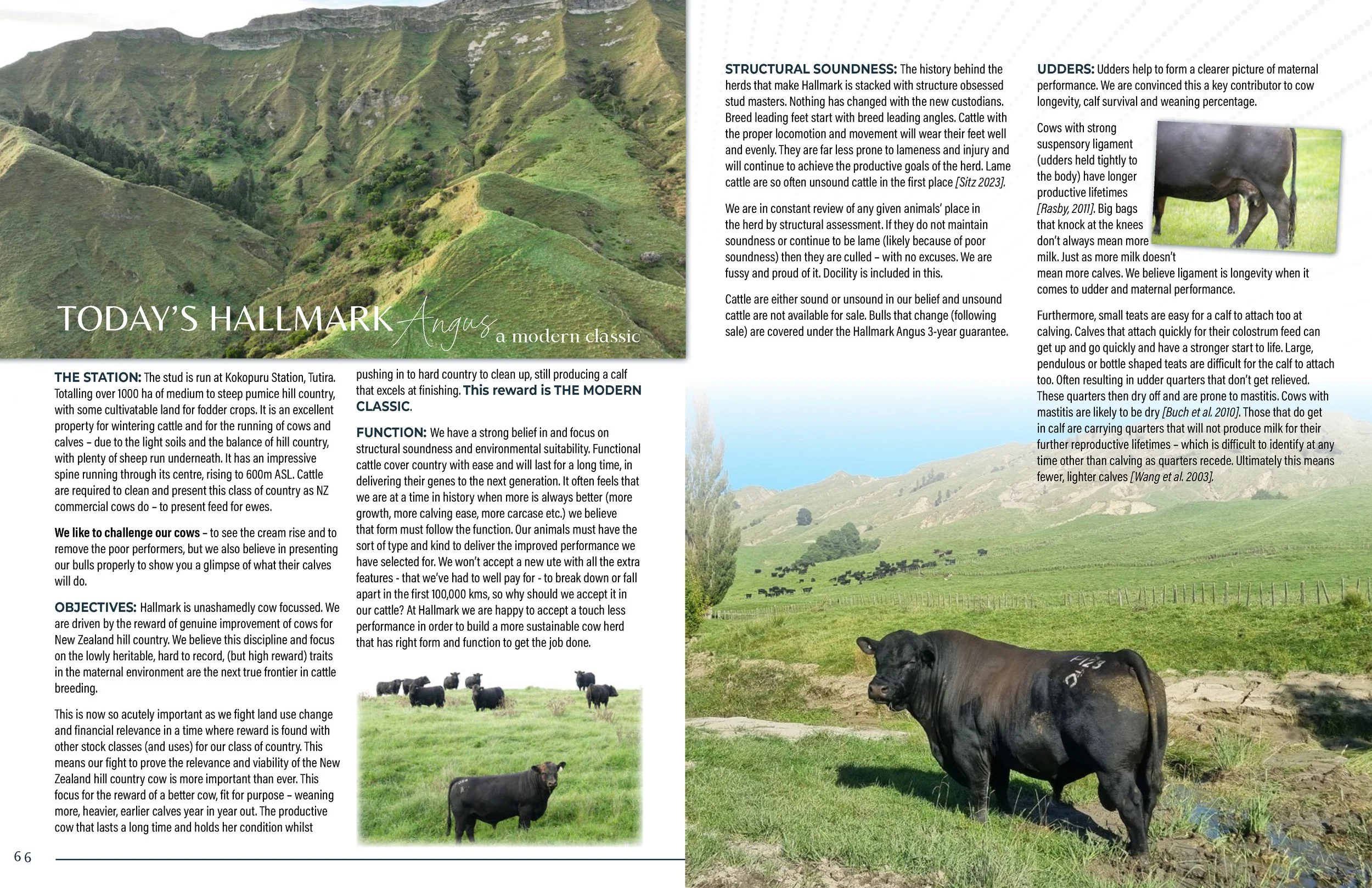 Hallmark Angus 2 YrOldSale 2026 spreads_Page_04.jpg