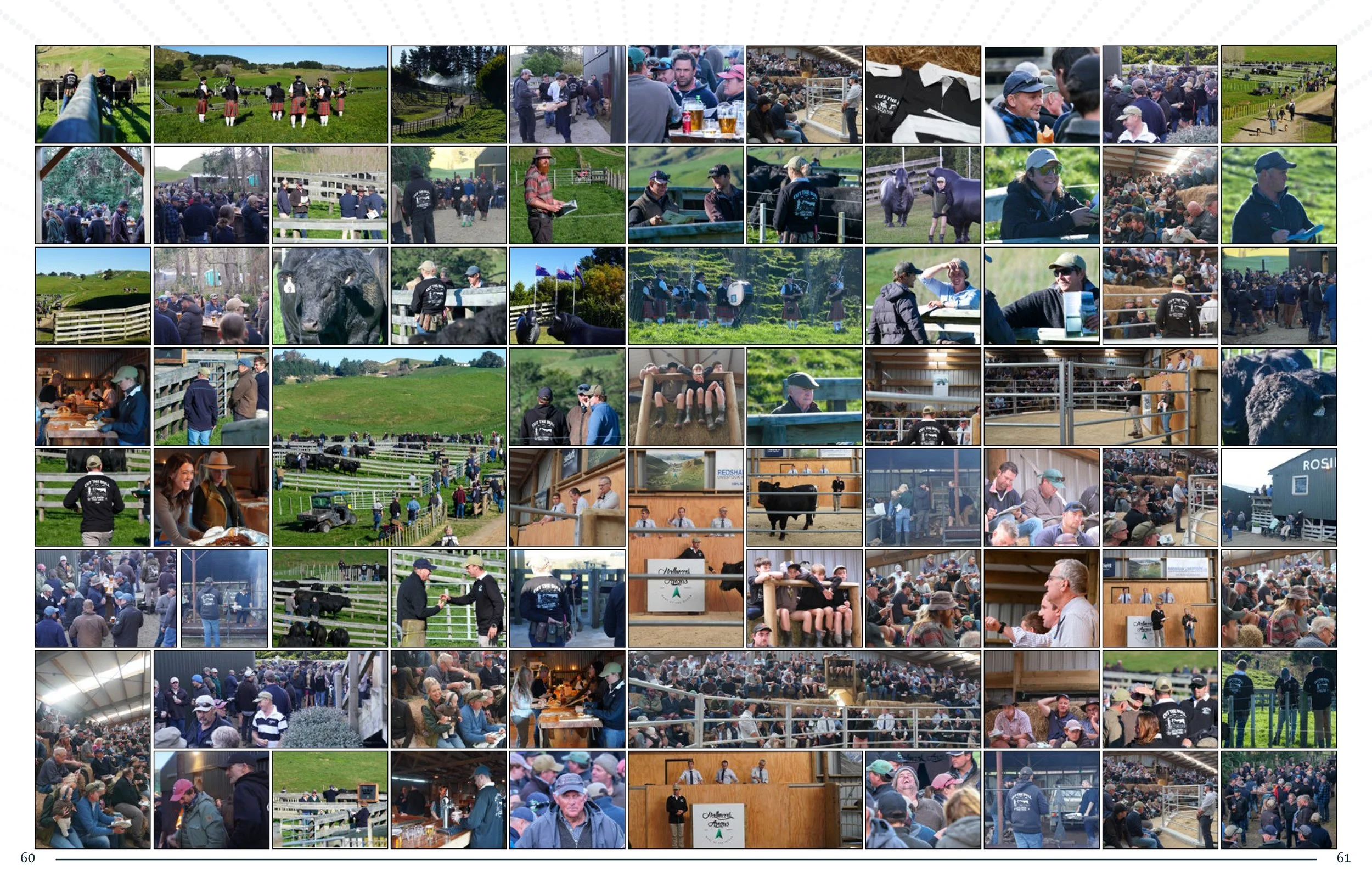 Hallmark Angus 2 YrOldSale 2026 spreads_Page_31.jpg