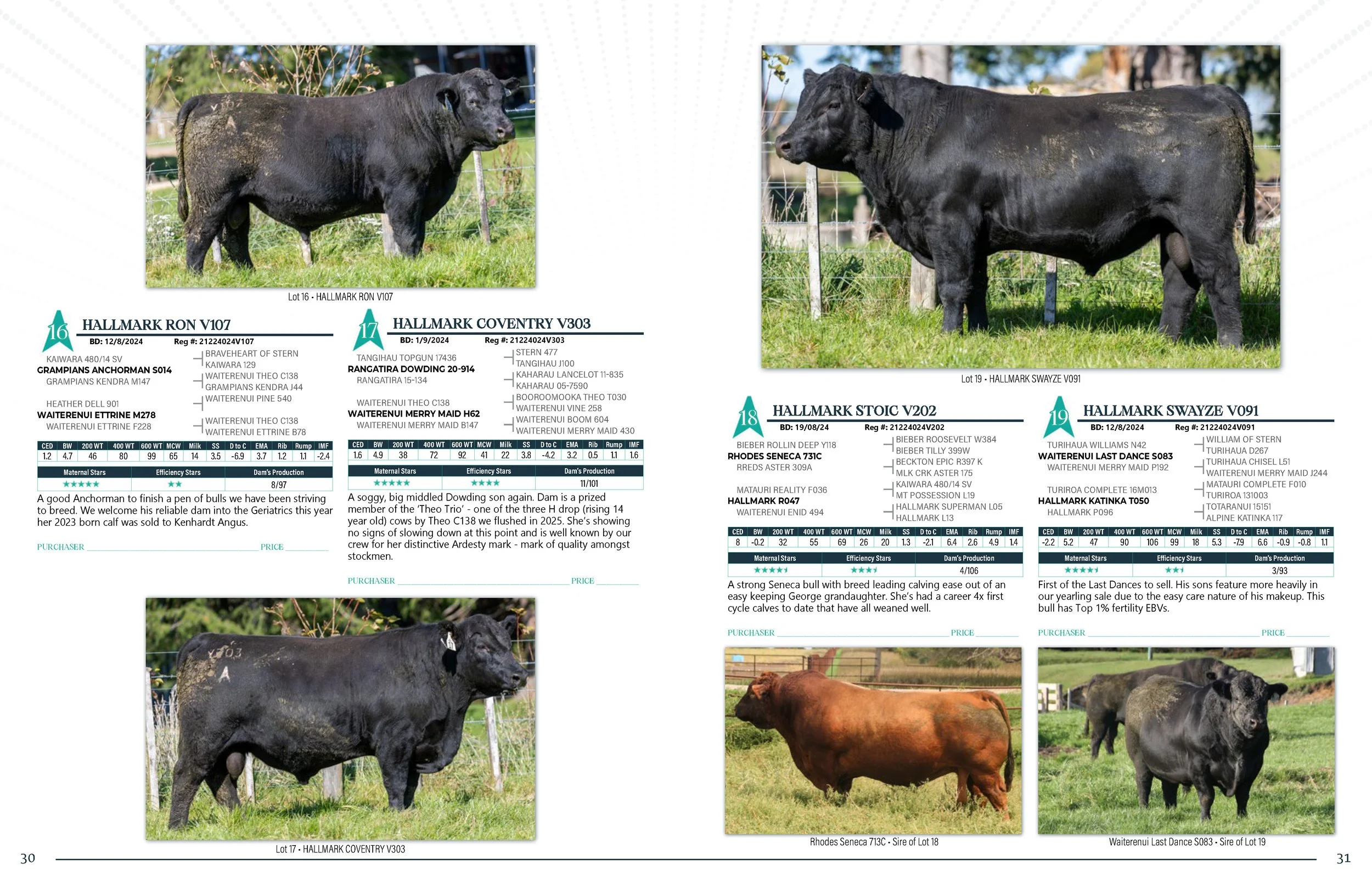 Hallmark Angus 2 YrOldSale 2026 spreads_Page_16.jpg