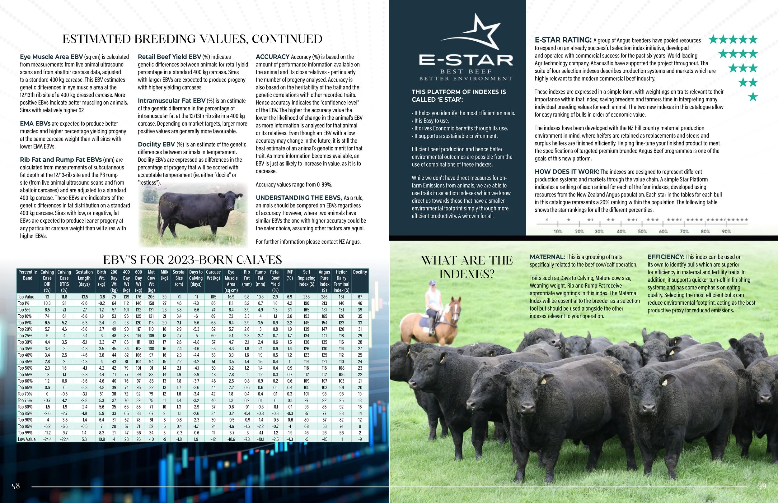 Hallmark Angus 2 YrOldSale 2026 spreads_Page_30.jpg