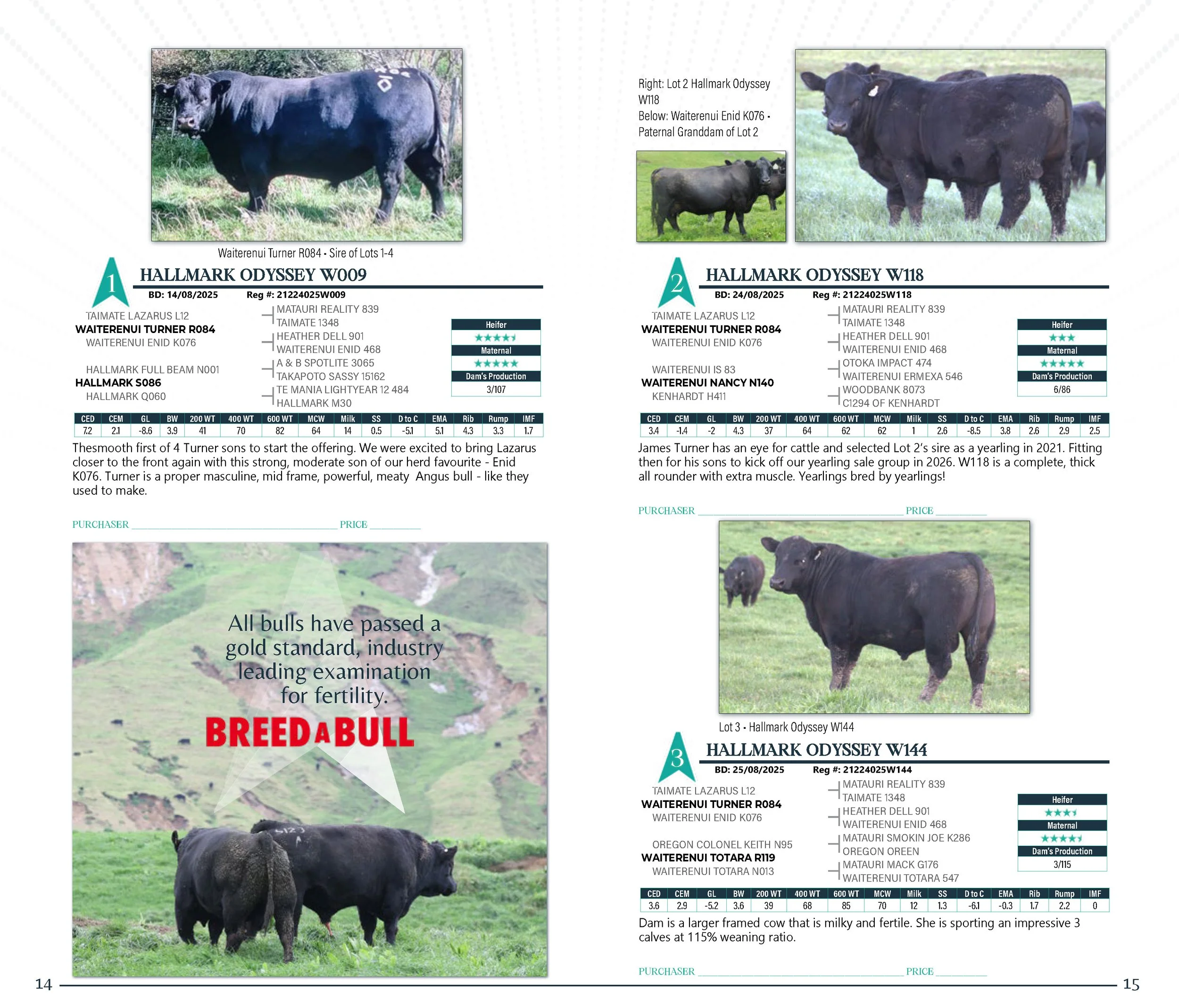 HallmarkYearlingSaleCatalogSpreads2026_Page_08.jpg