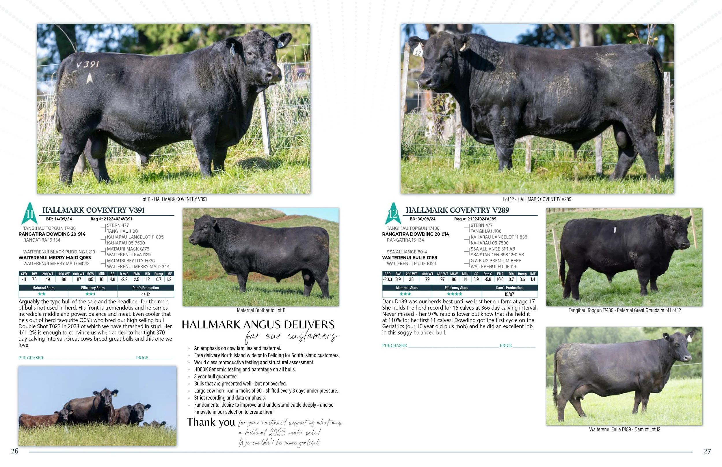 Hallmark Angus 2 YrOldSale 2026 spreads_Page_14.jpg