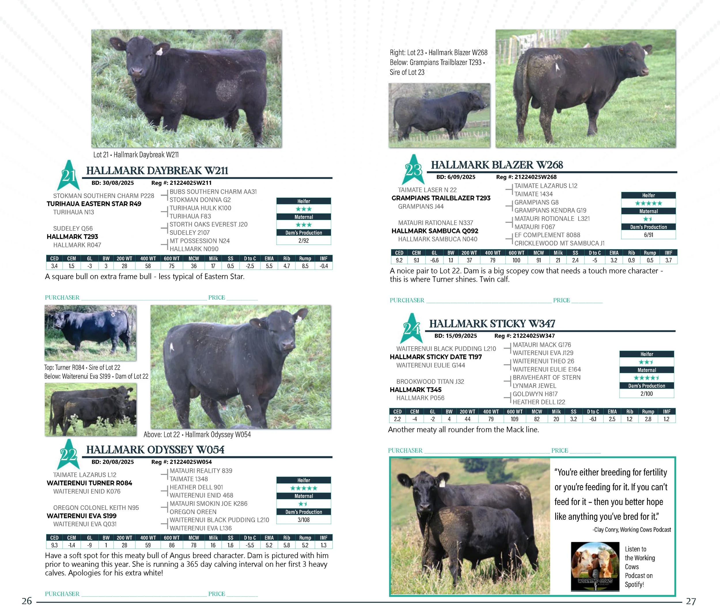 HallmarkYearlingSaleCatalogSpreads2026_Page_14.jpg