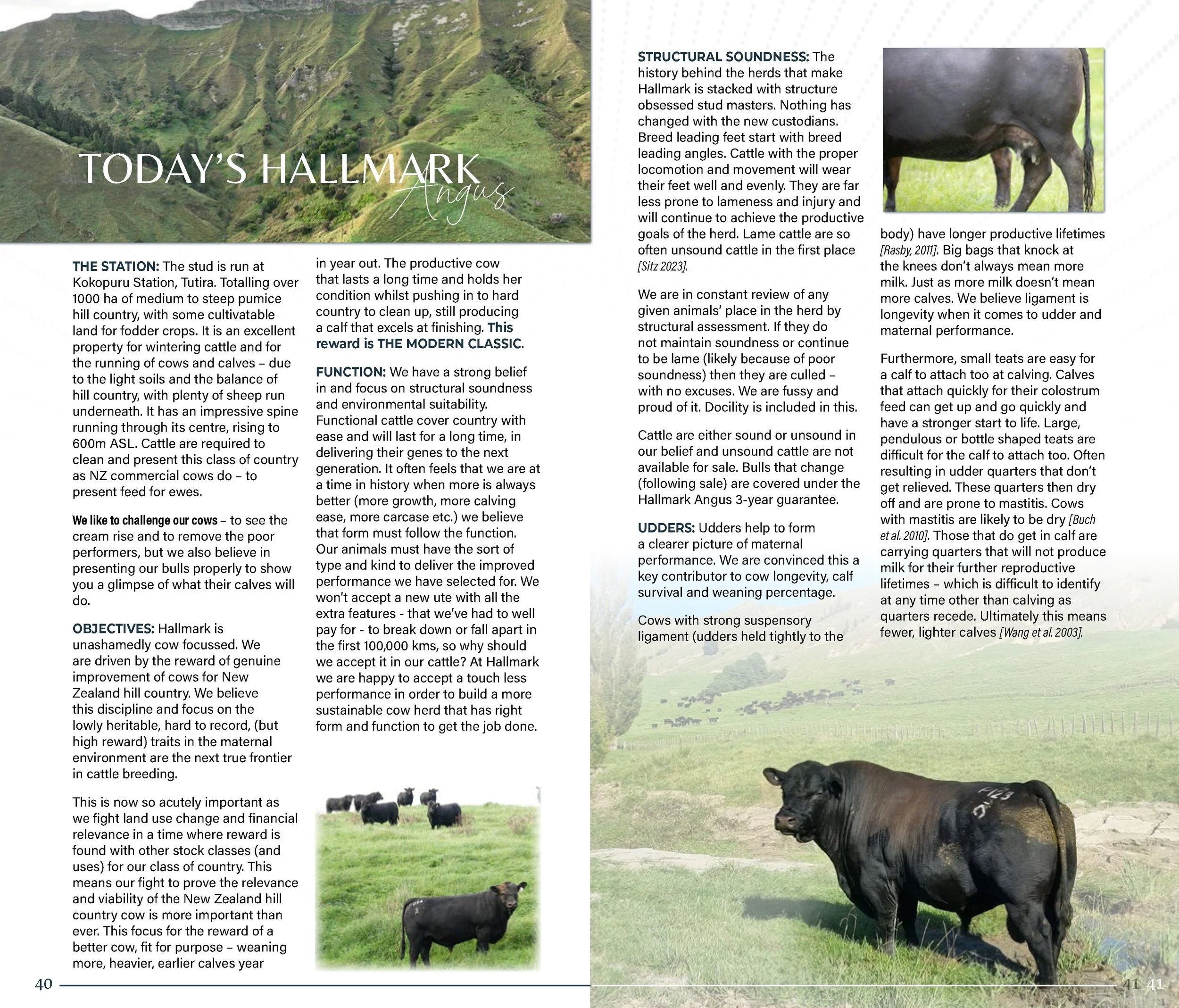 HallmarkYearlingSaleCatalogSpreads2026_Page_21.jpg