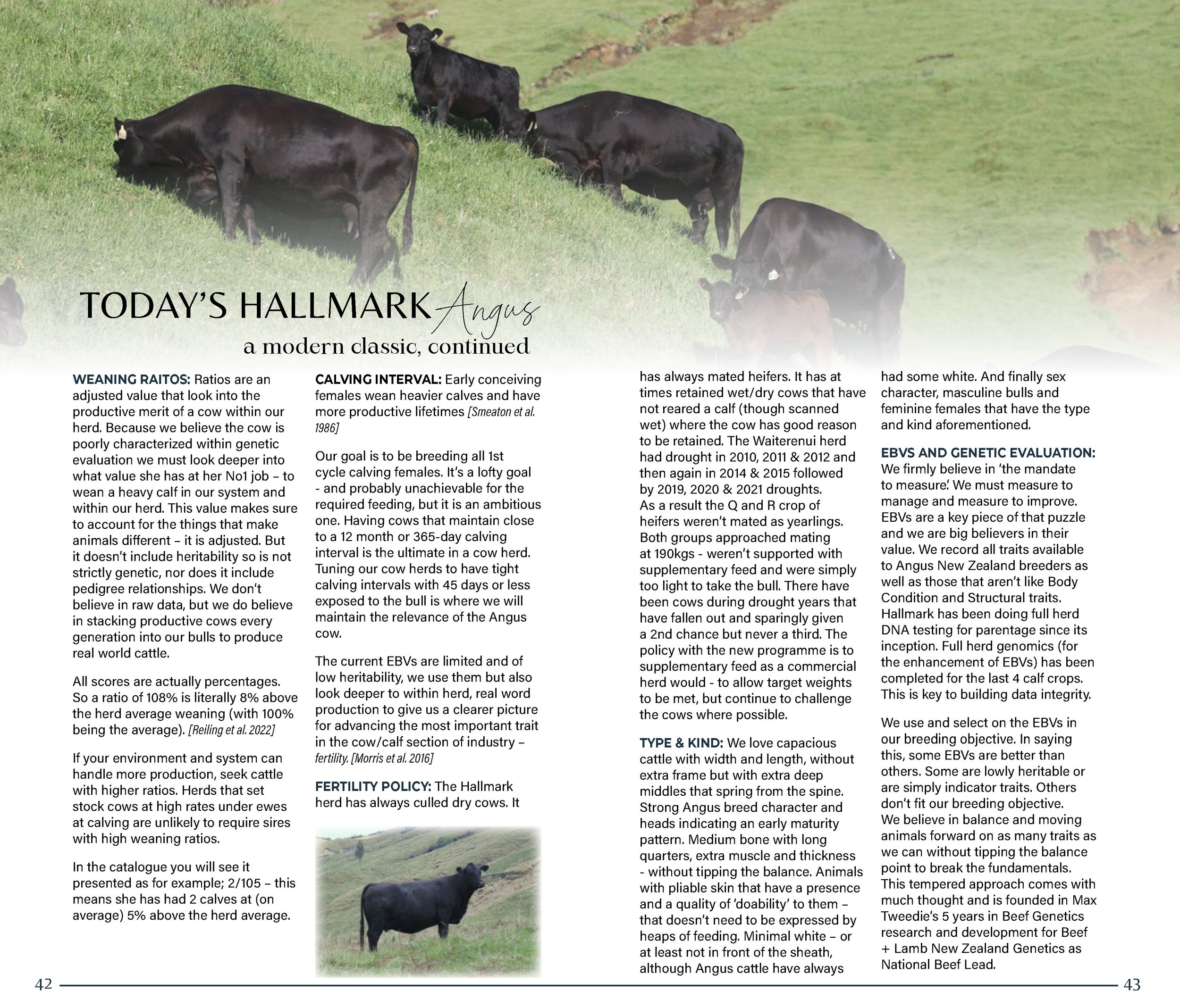 HallmarkYearlingSaleCatalogSpreads2026_Page_22.jpg