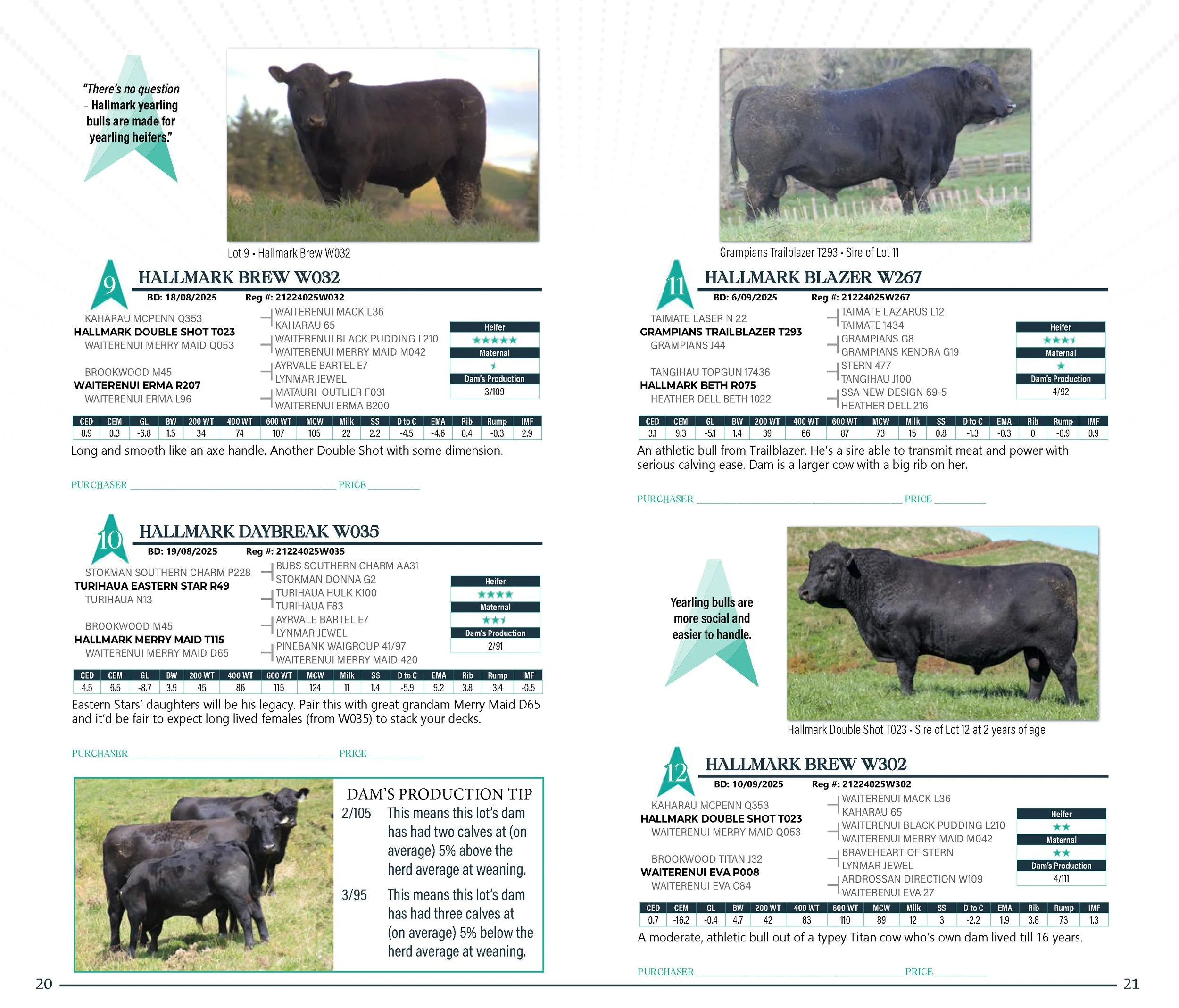 HallmarkYearlingSaleCatalogSpreads2026_Page_11.jpg