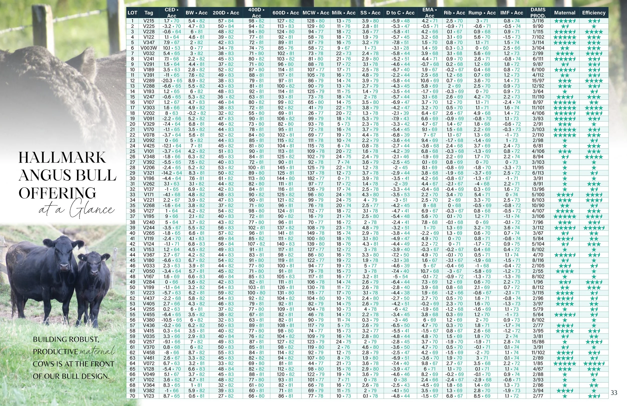 Hallmark Angus 2 YrOldSale 2026 spreads_Page_17.jpg