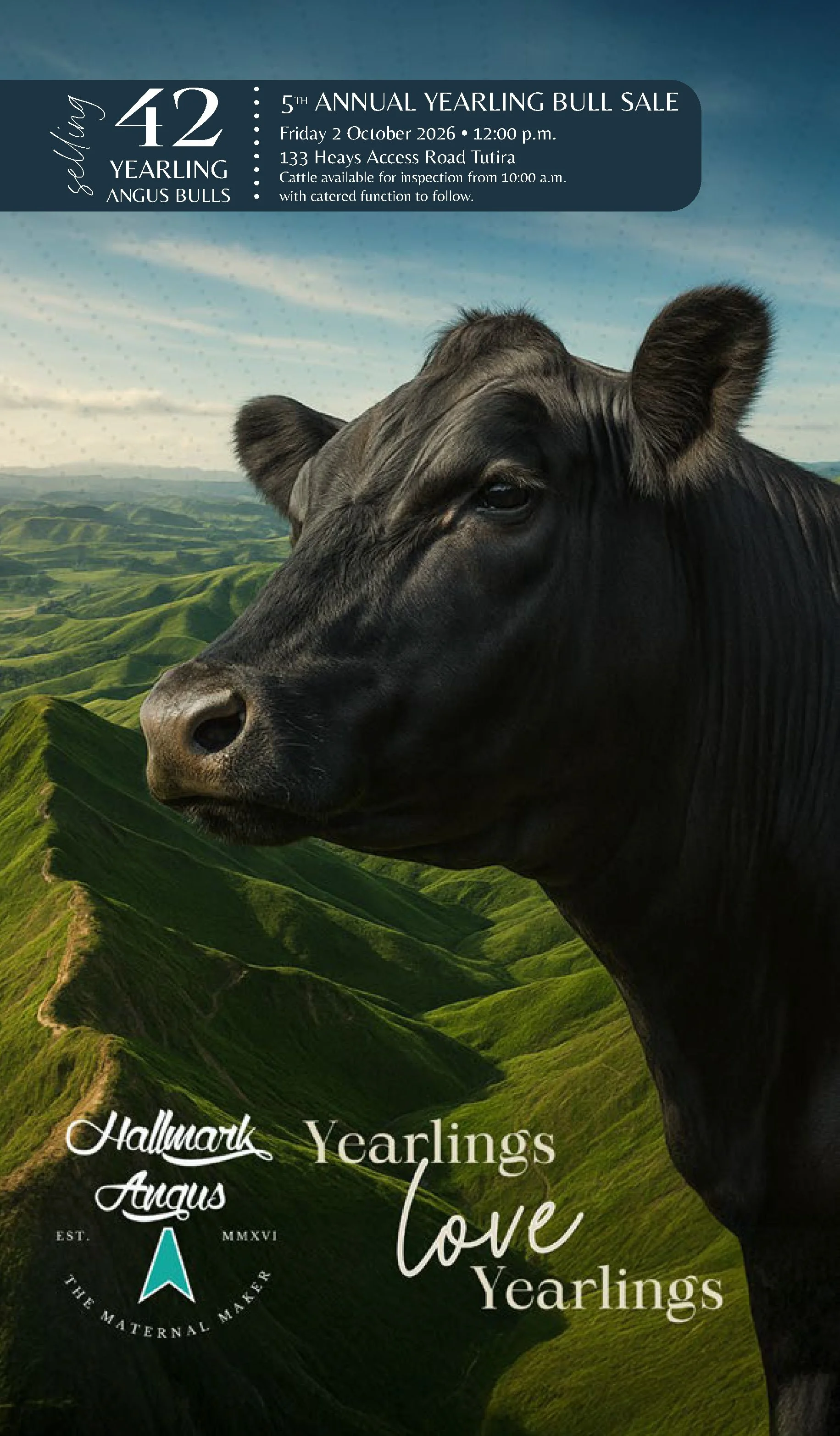 HallmarkYearlingSaleCatalogSpreads2026_Page_29.jpg