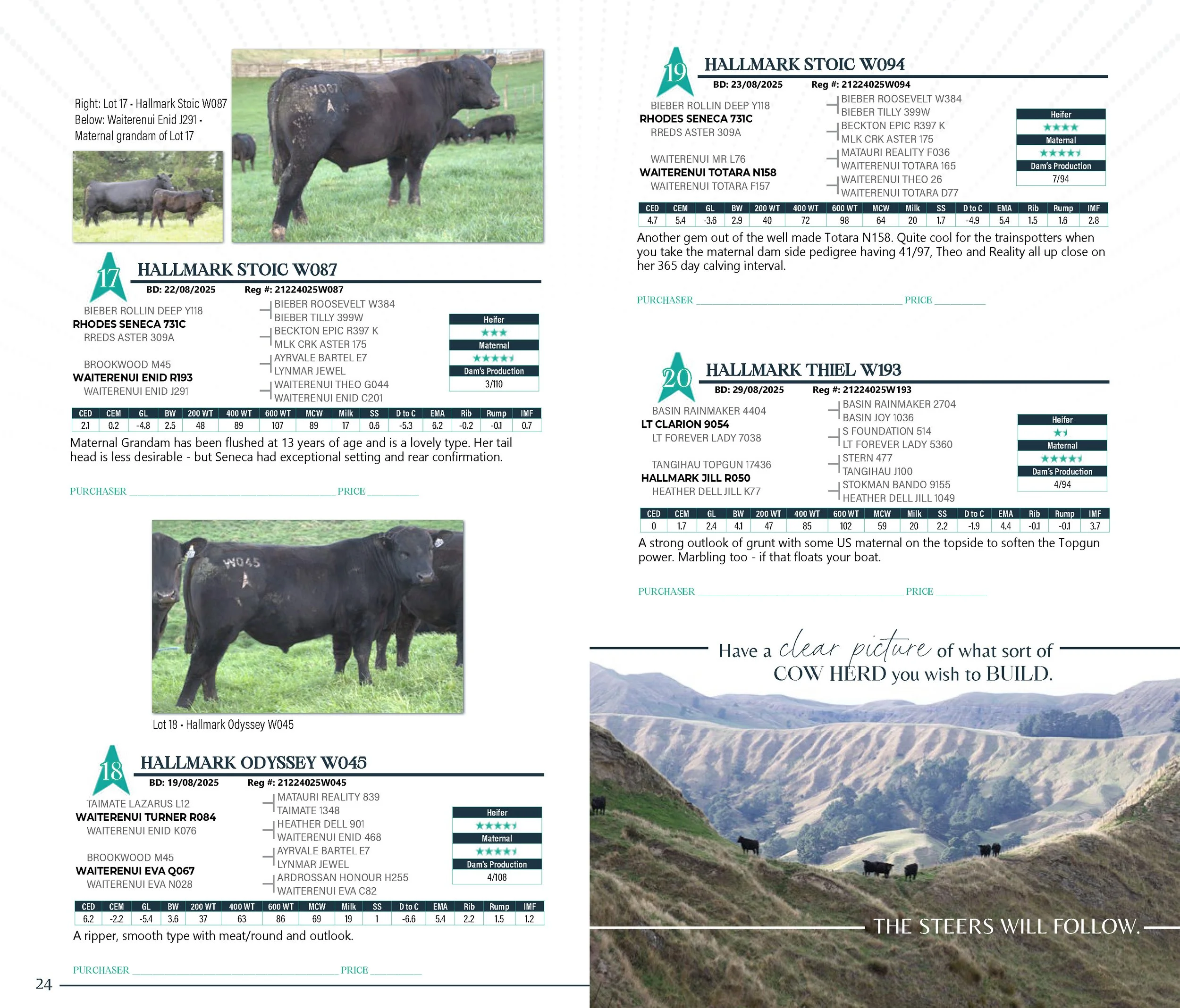 HallmarkYearlingSaleCatalogSpreads2026_Page_13.jpg