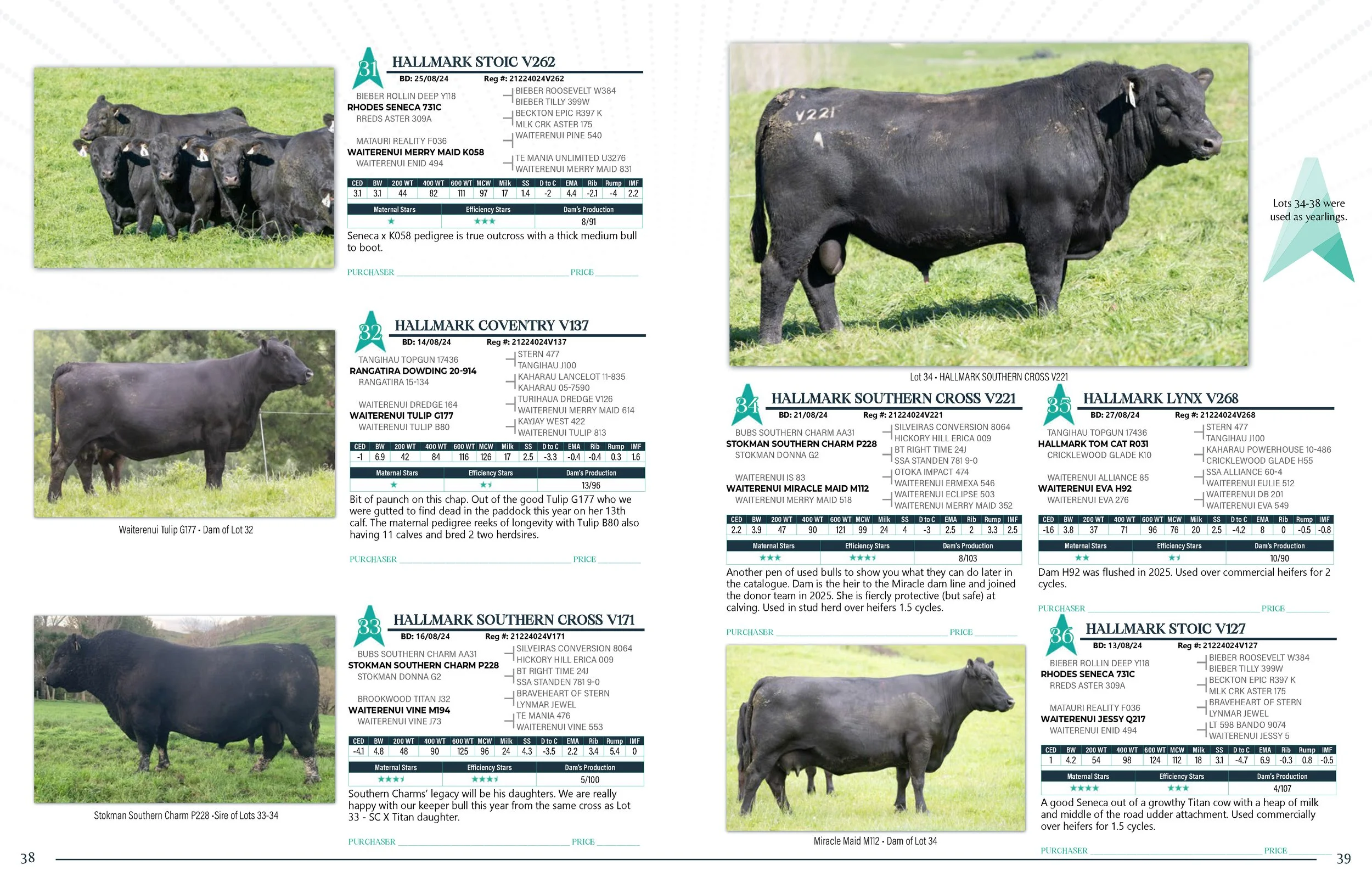 Hallmark Angus 2 YrOldSale 2026 spreads_Page_20.jpg