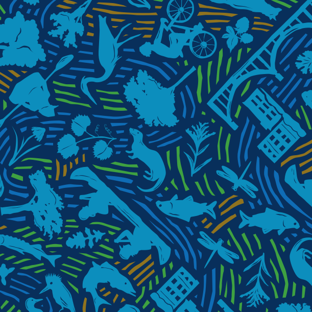 Friends of the Mississippi River