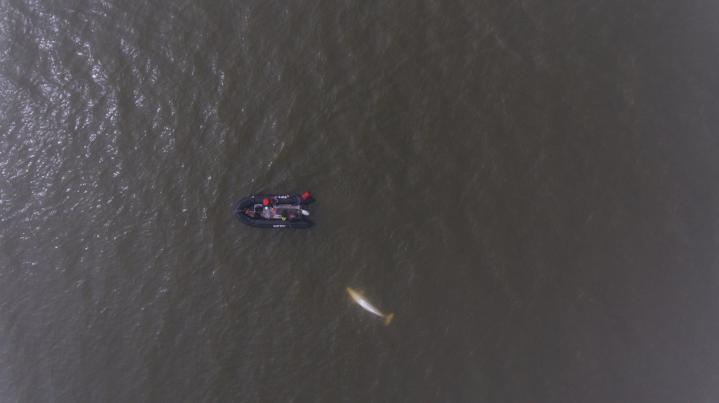 Churchill - Summer TM-4.jpg