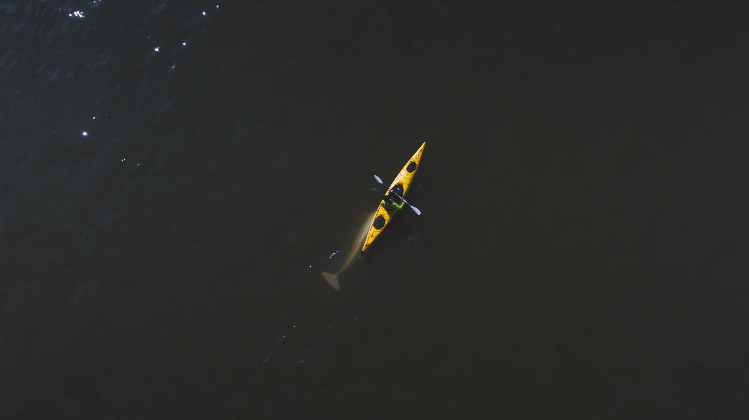 Churchill - Summer TM-53.jpg