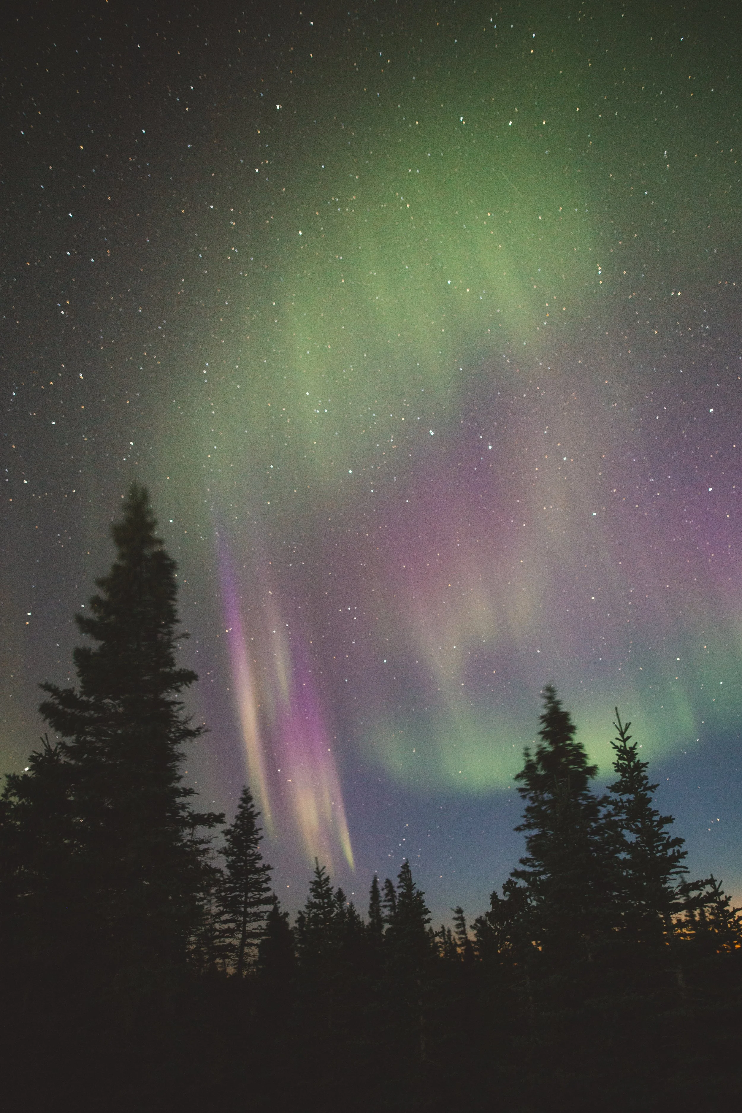 Churchill - Summer TM-35.jpg