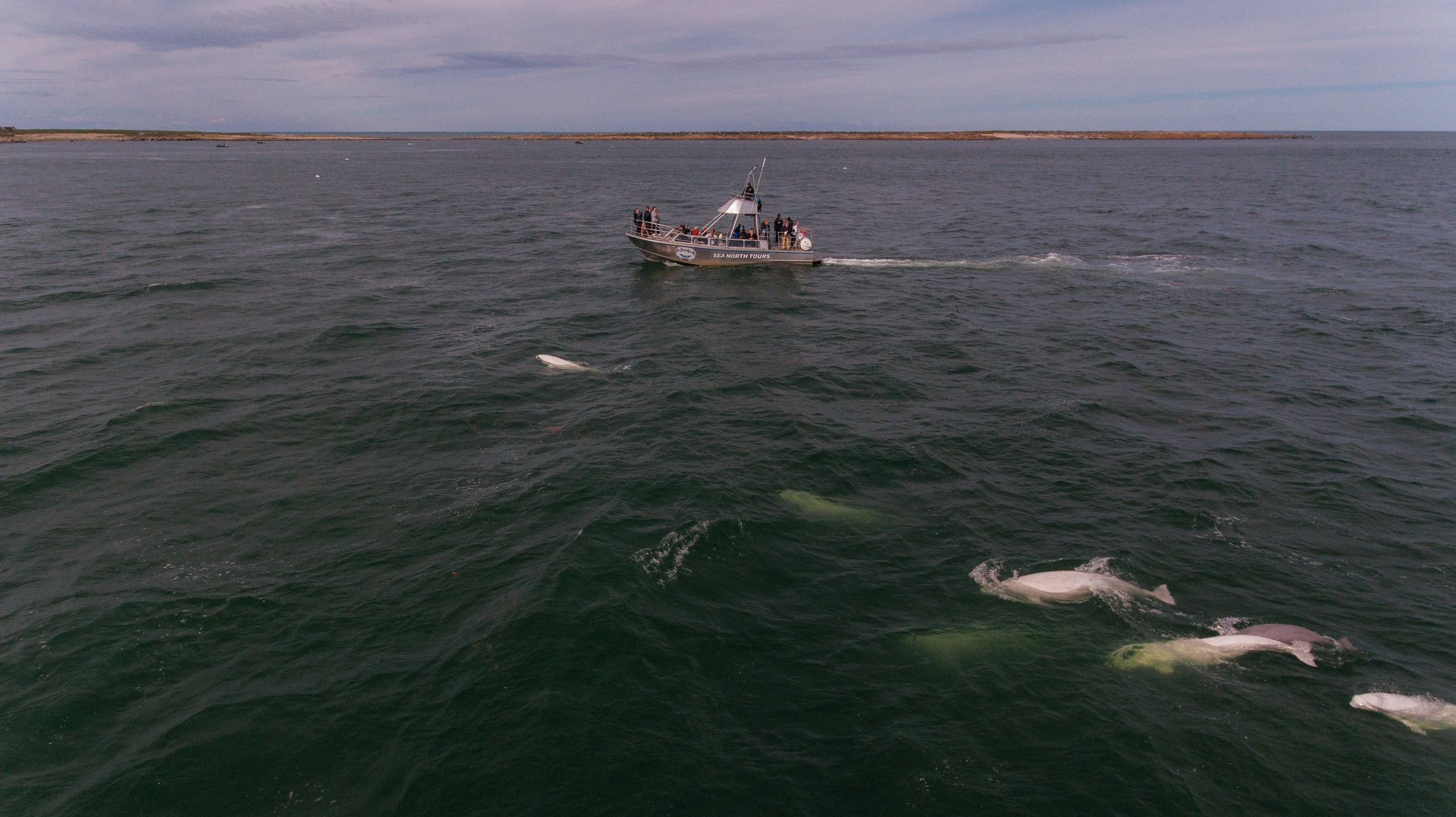 Churchill - Summer TM-45.jpg