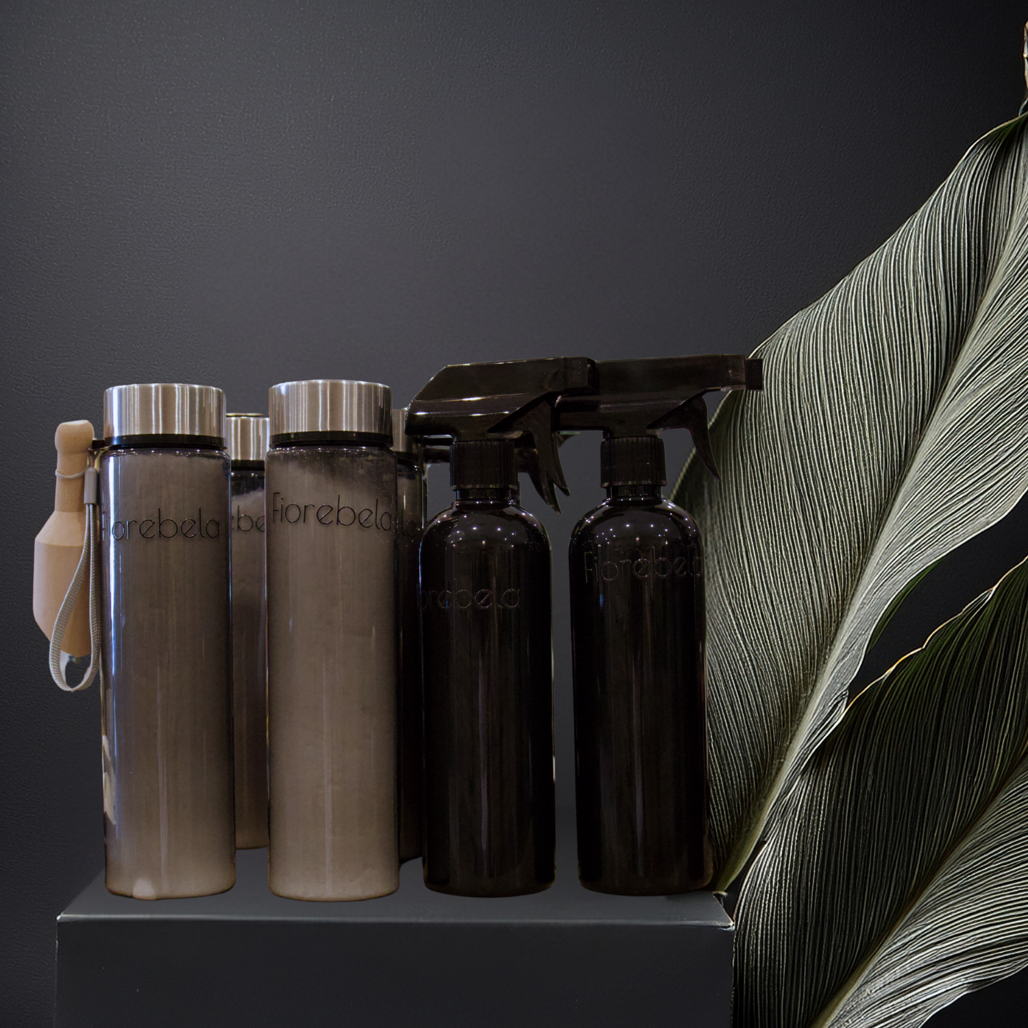 Lisa V Website (3).png