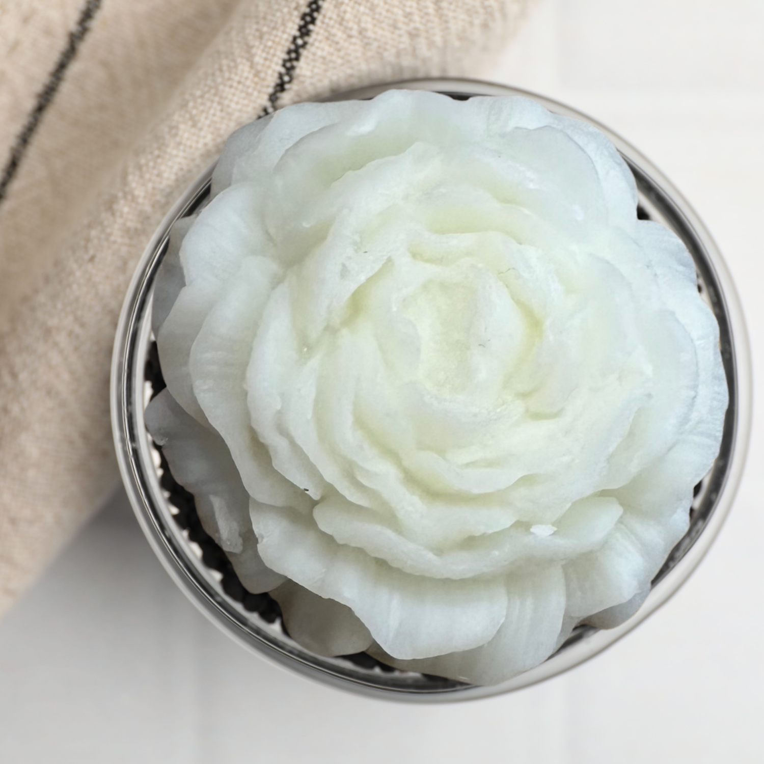 Lisa V Website (4).png